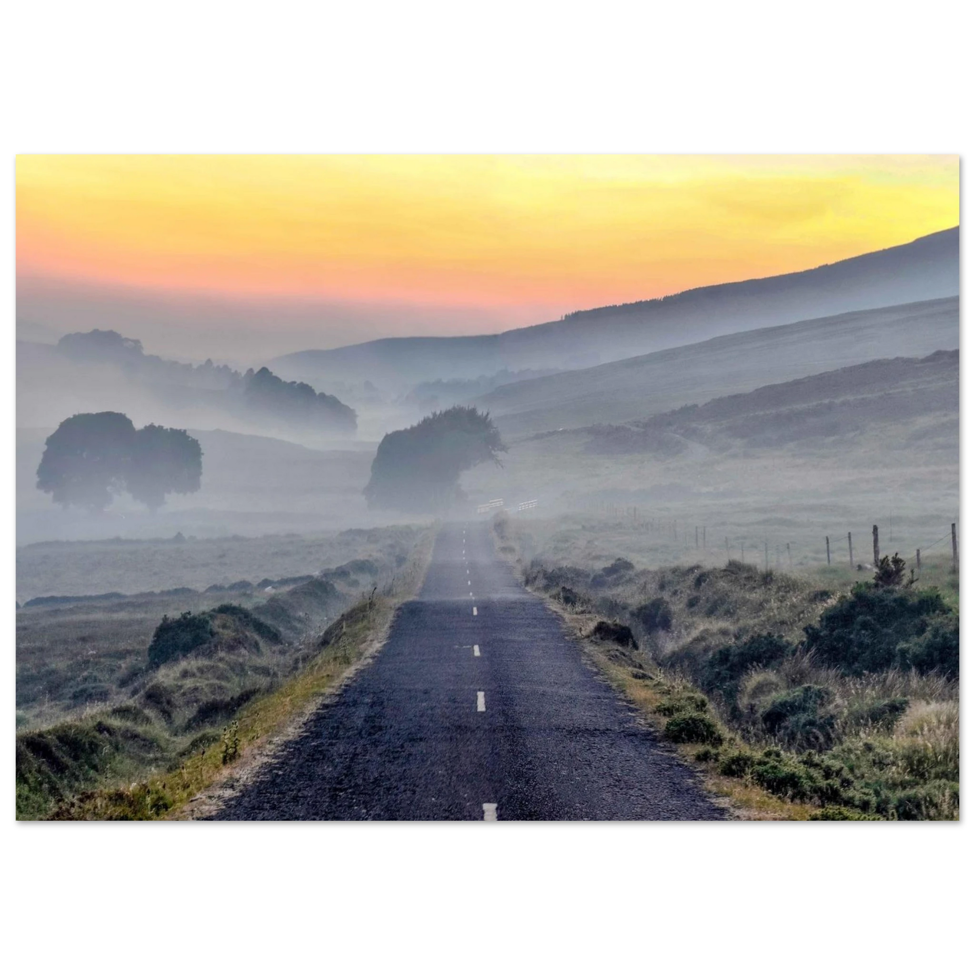 0d02f956-e8eb-4714-a397-c85d3f9d69c5