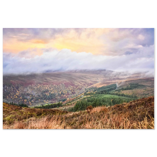 0d559c55-27a5-4570-890a-1183938d1667