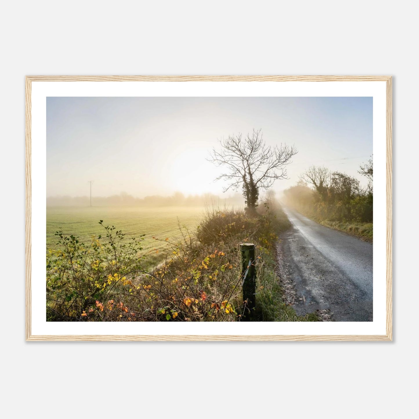 0d5758a9-e054-475f-a5c5-27613da32fe2