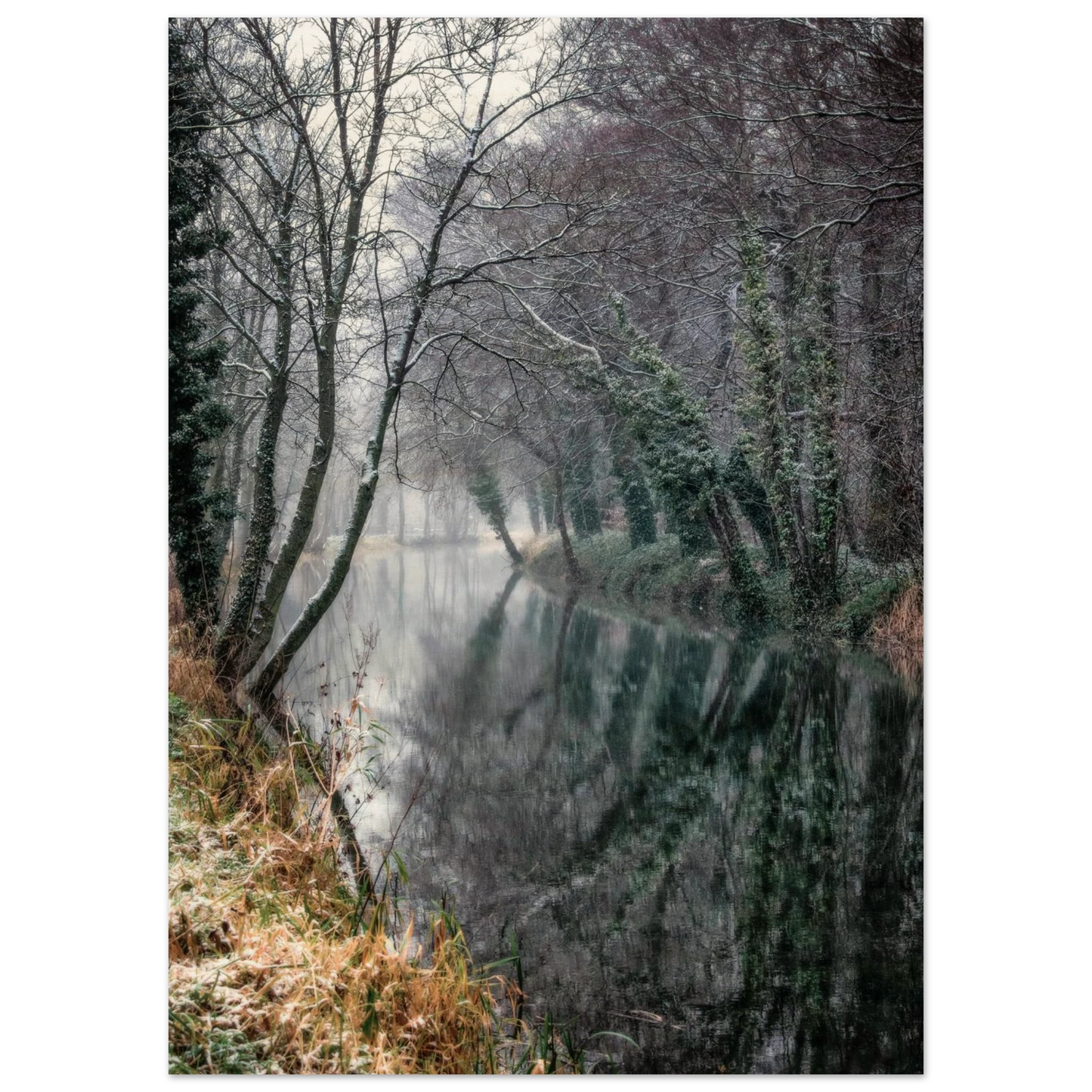 0e539efd-dd5a-4edb-8be5-7351624b0107