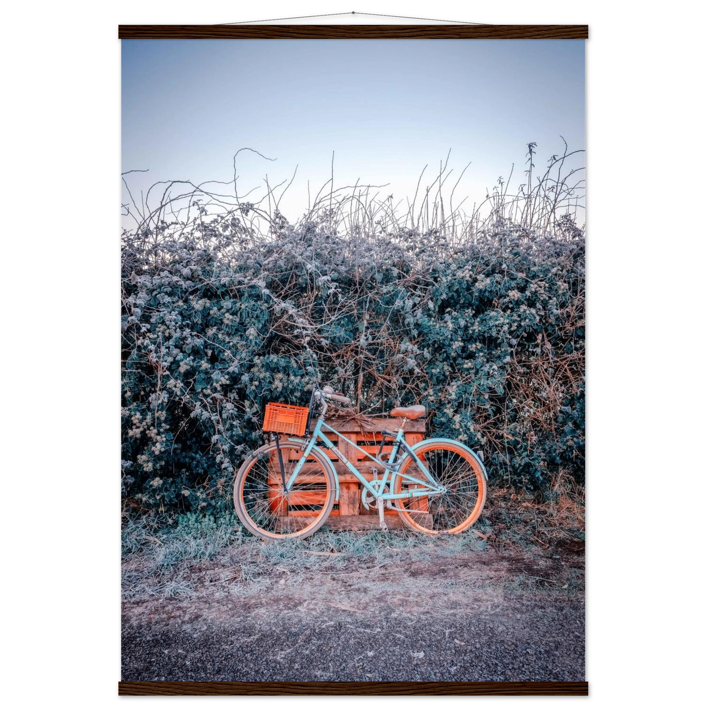 0e6eed4a-05ac-494f-94ad-442c21f733e7