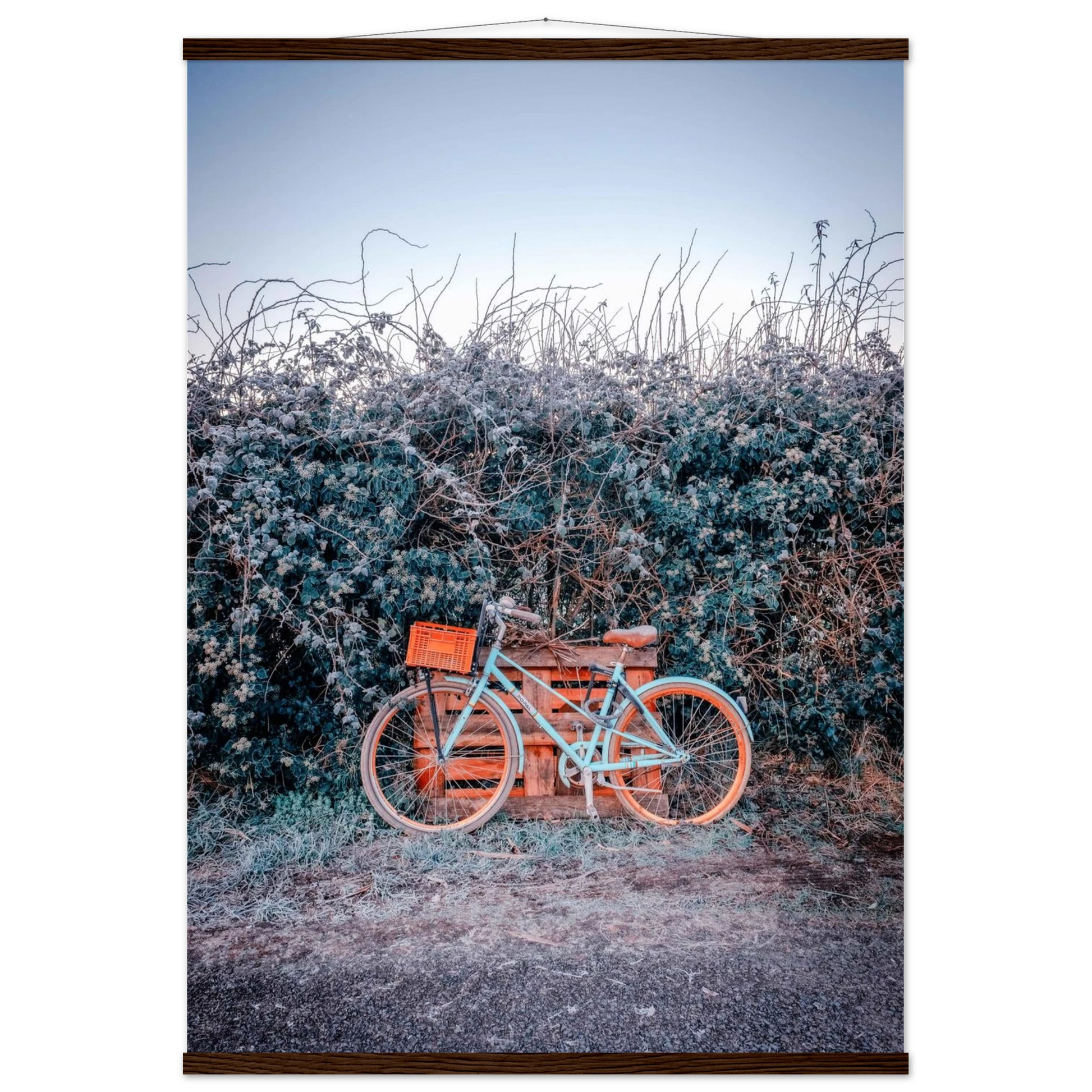 0e6eed4a-05ac-494f-94ad-442c21f733e7