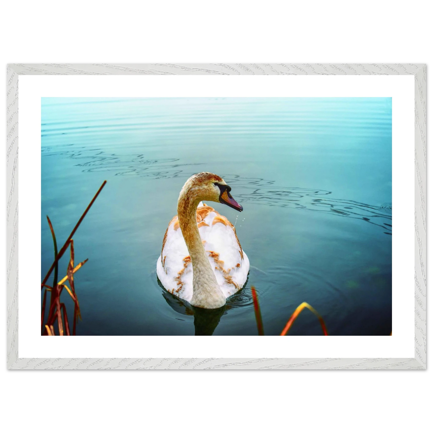 0f0af079-5467-4bea-ba54-1b99b62c28fd