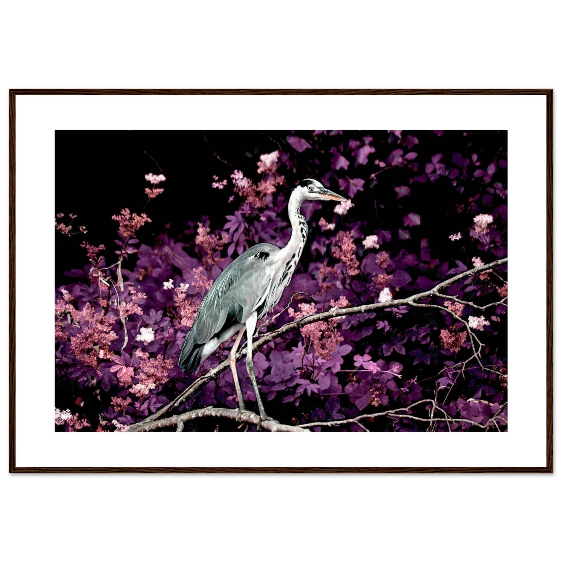 0f1c951f-e567-41a8-95d5-5a41a32775e4