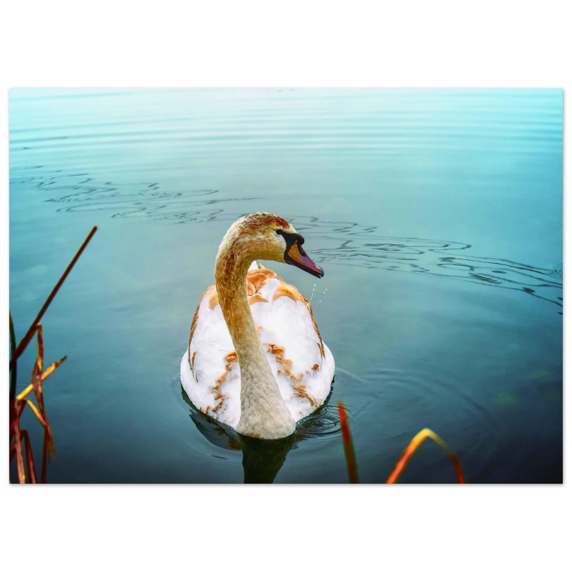 0f6ea13a-349f-4725-888f-32a893d3eeb1