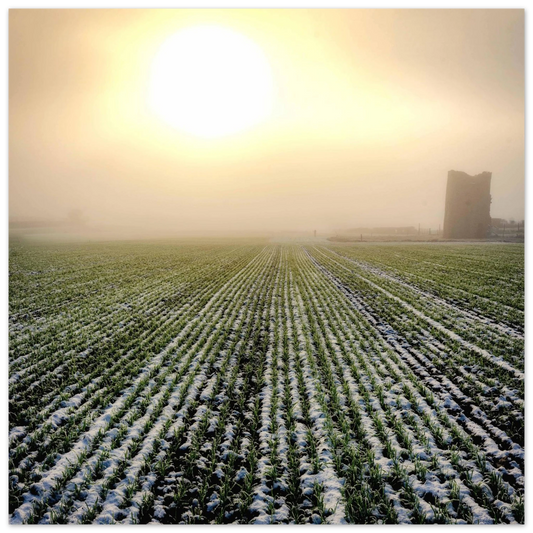 0f845b28-3ccb-4bd1-b1f1-6178b53250c3