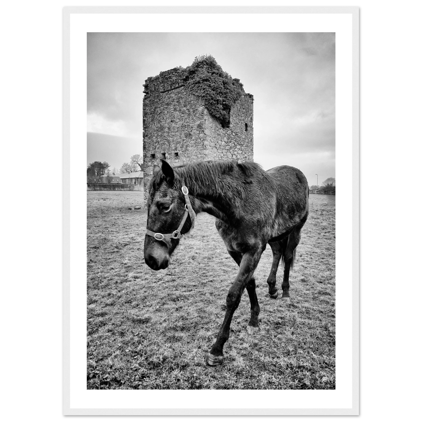 0fc9e3e7-d3bc-4a9f-b994-d7fbc46e9756