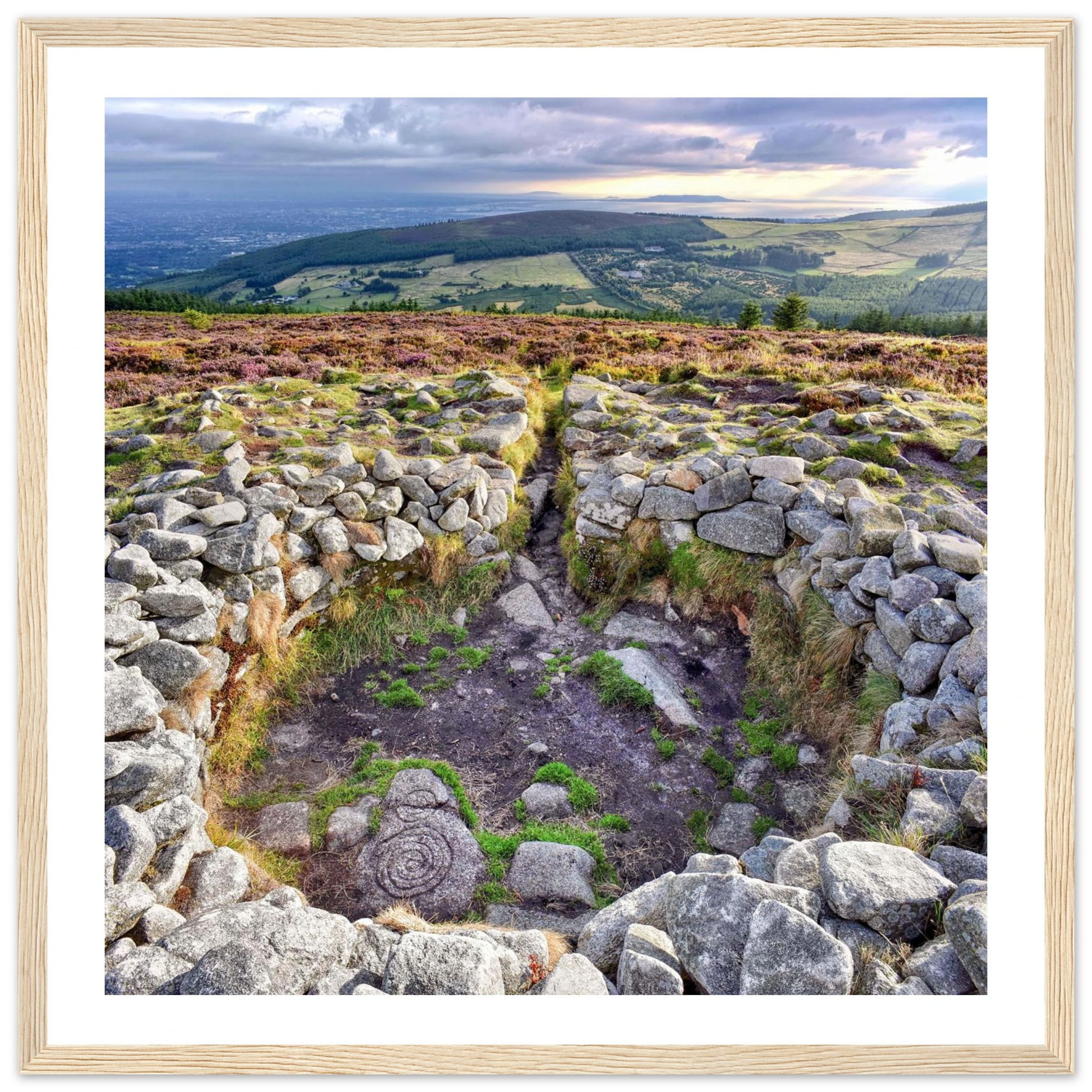 1061b1ad-9751-4ddb-8b88-fa4cf1ccc7e4