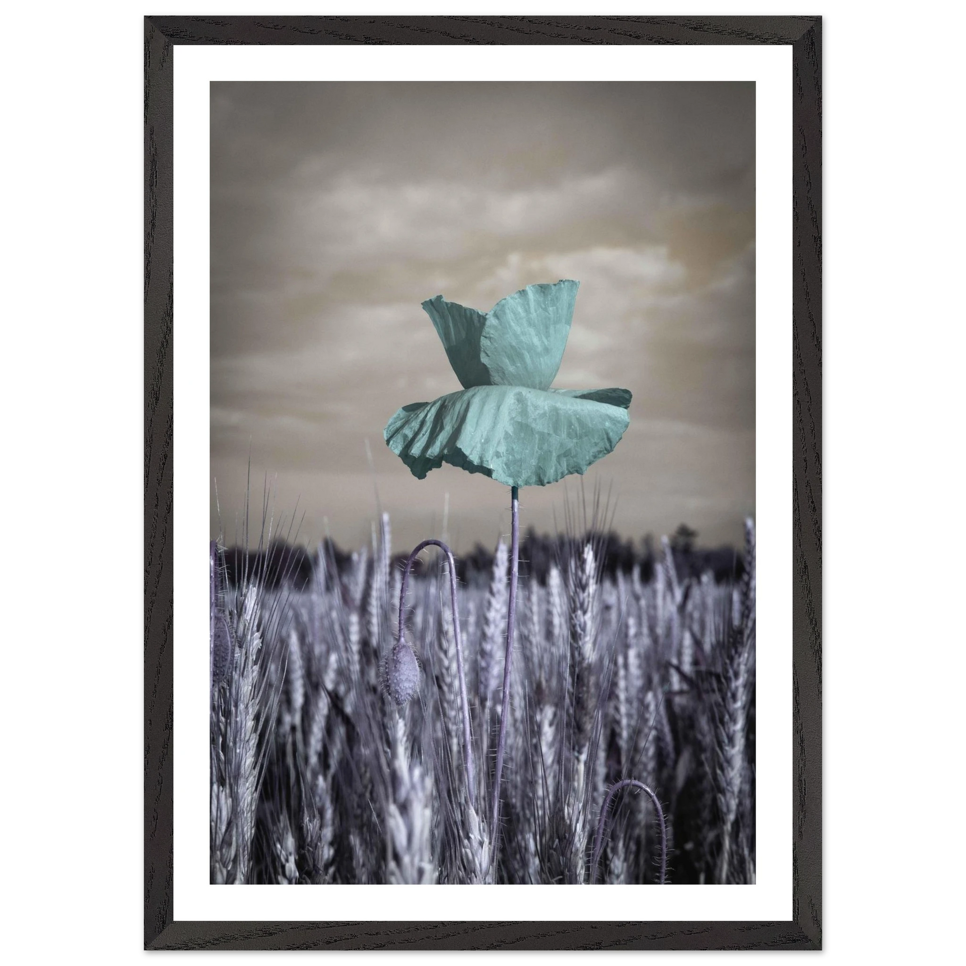 10891ab3-9644-4756-81bd-9bbcf883d22e