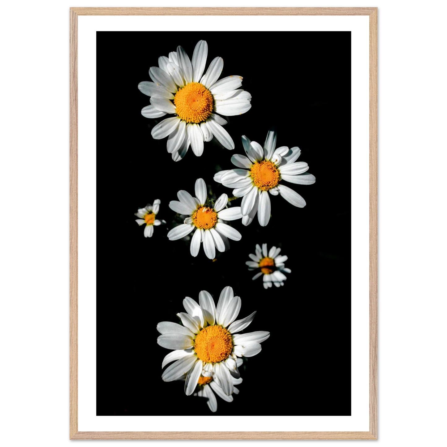 109fe7dc-8cfa-4591-9947-51db925bb4b1