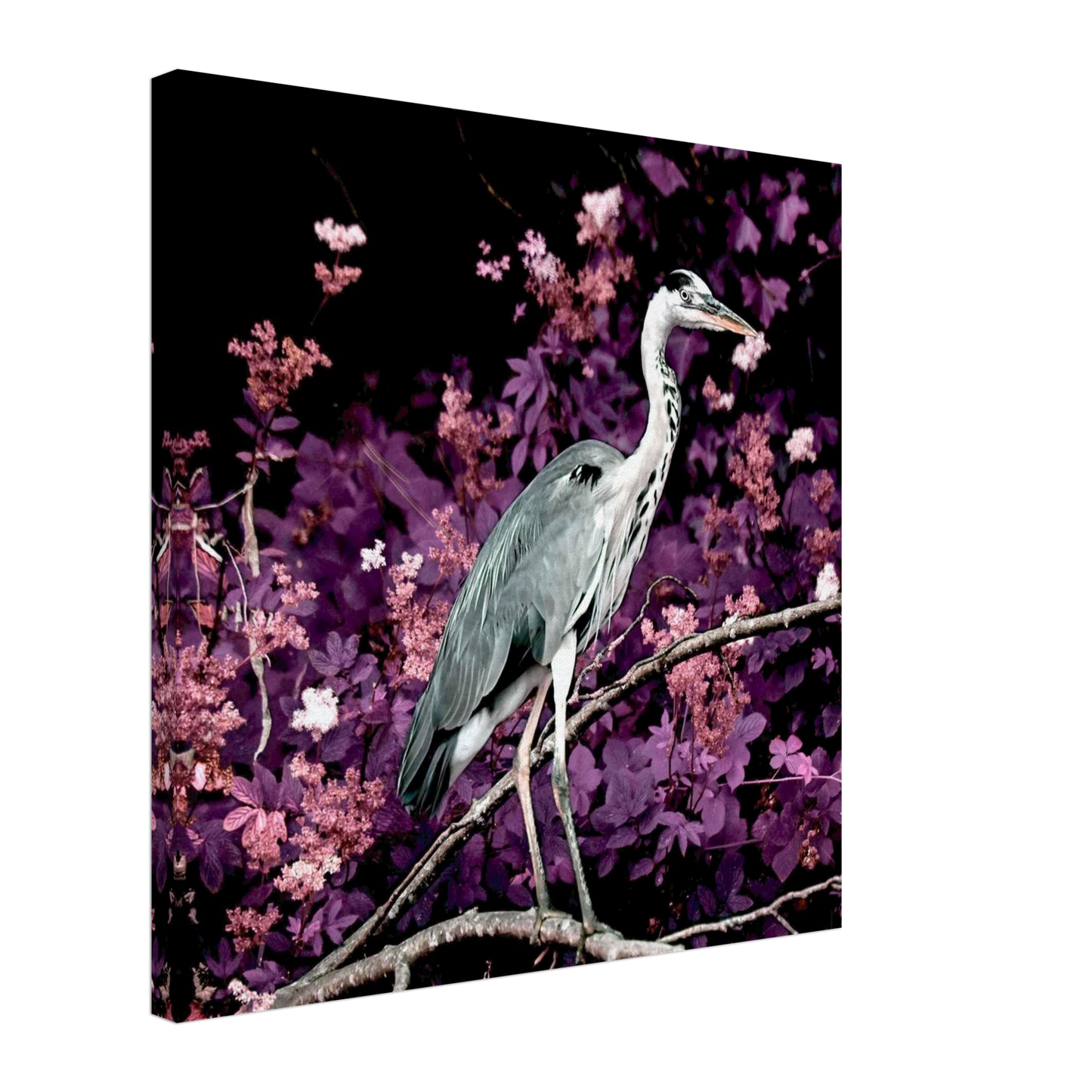 1120a877-c3c0-4ad5-9a91-08fcca002b47