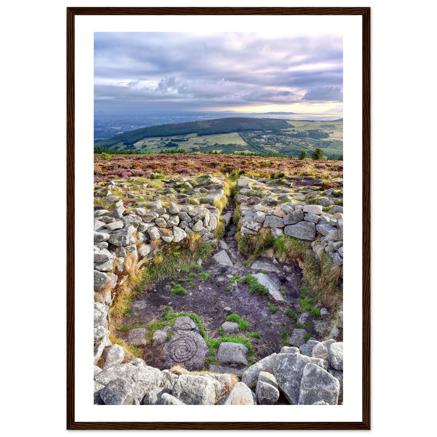 1139878a-5507-4e72-87dc-c3cc960410c0