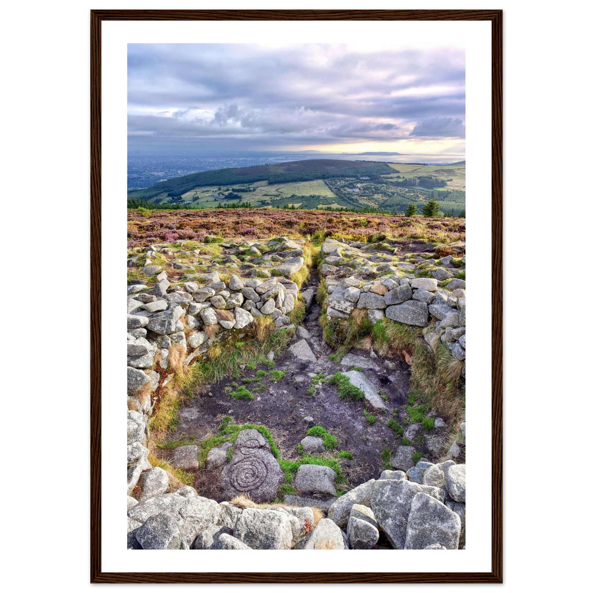 1139878a-5507-4e72-87dc-c3cc960410c0