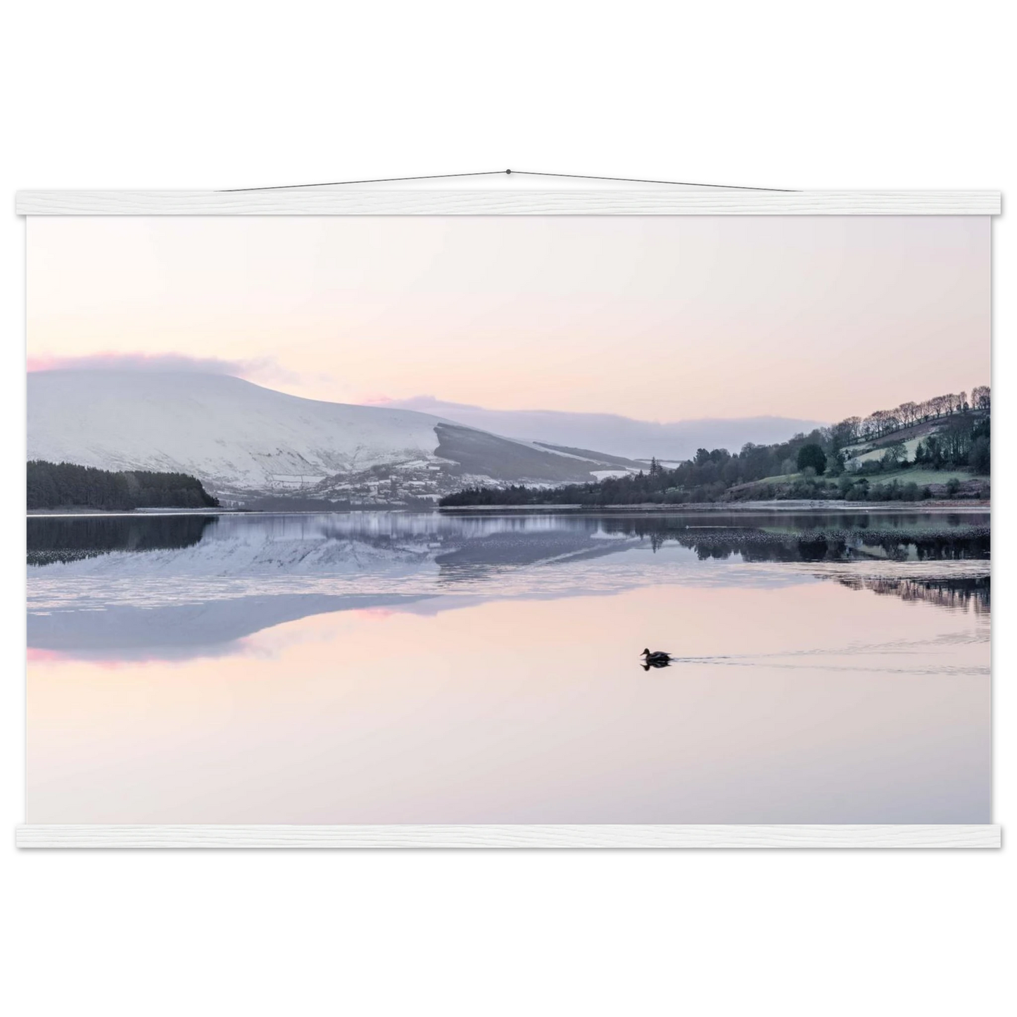 1169f700-5c1f-4c89-8199-619fd1e49816