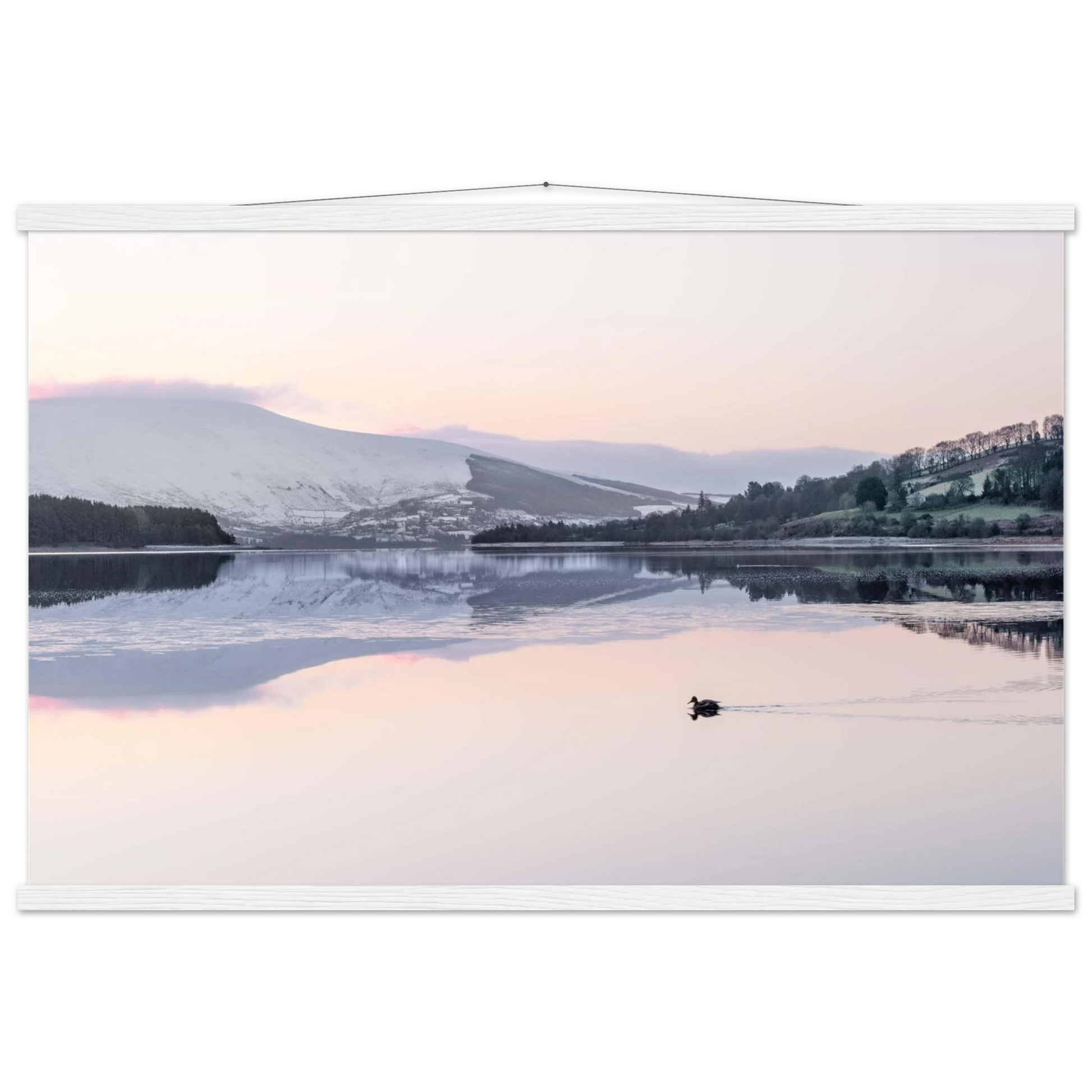 1169f700-5c1f-4c89-8199-619fd1e49816