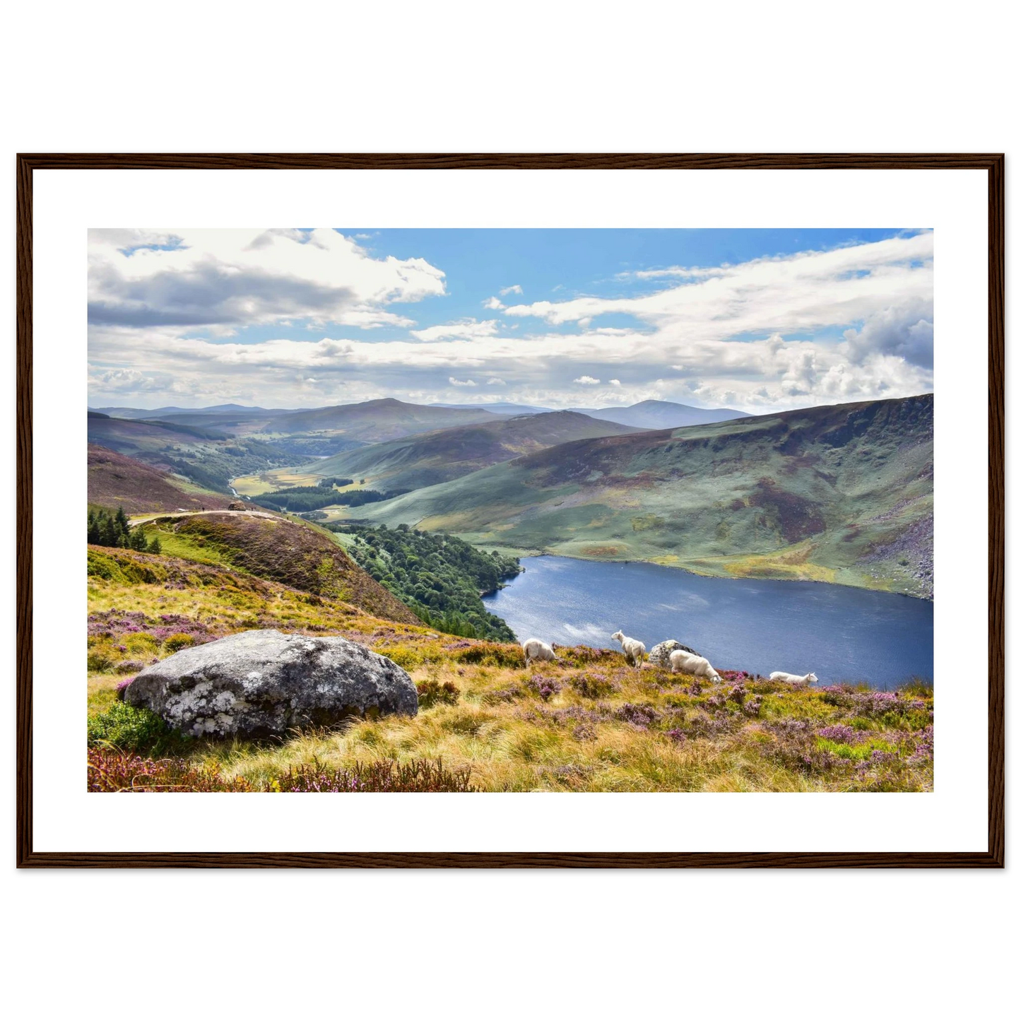 11afbd0d-29dc-4e19-b835-fbb4c723c105