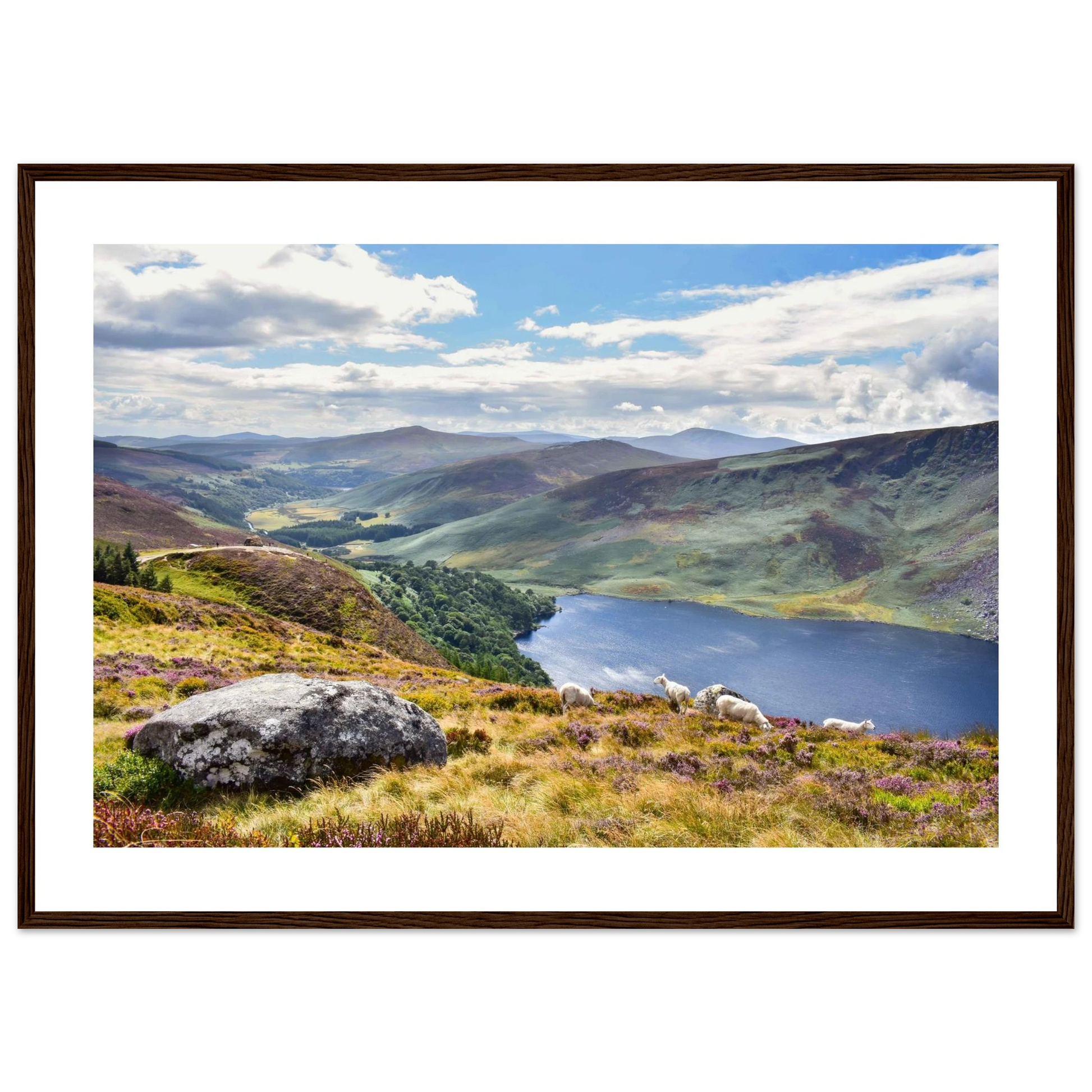 11afbd0d-29dc-4e19-b835-fbb4c723c105