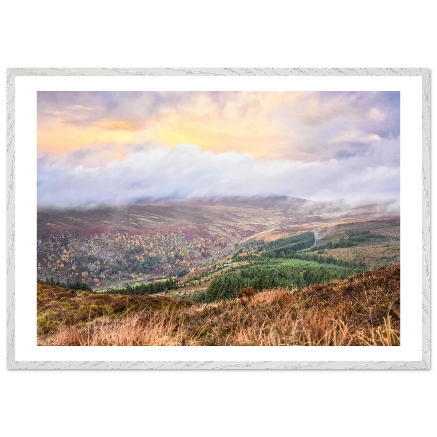 11c7b7f6-4c38-43e1-a389-7c6eee0cdc0c