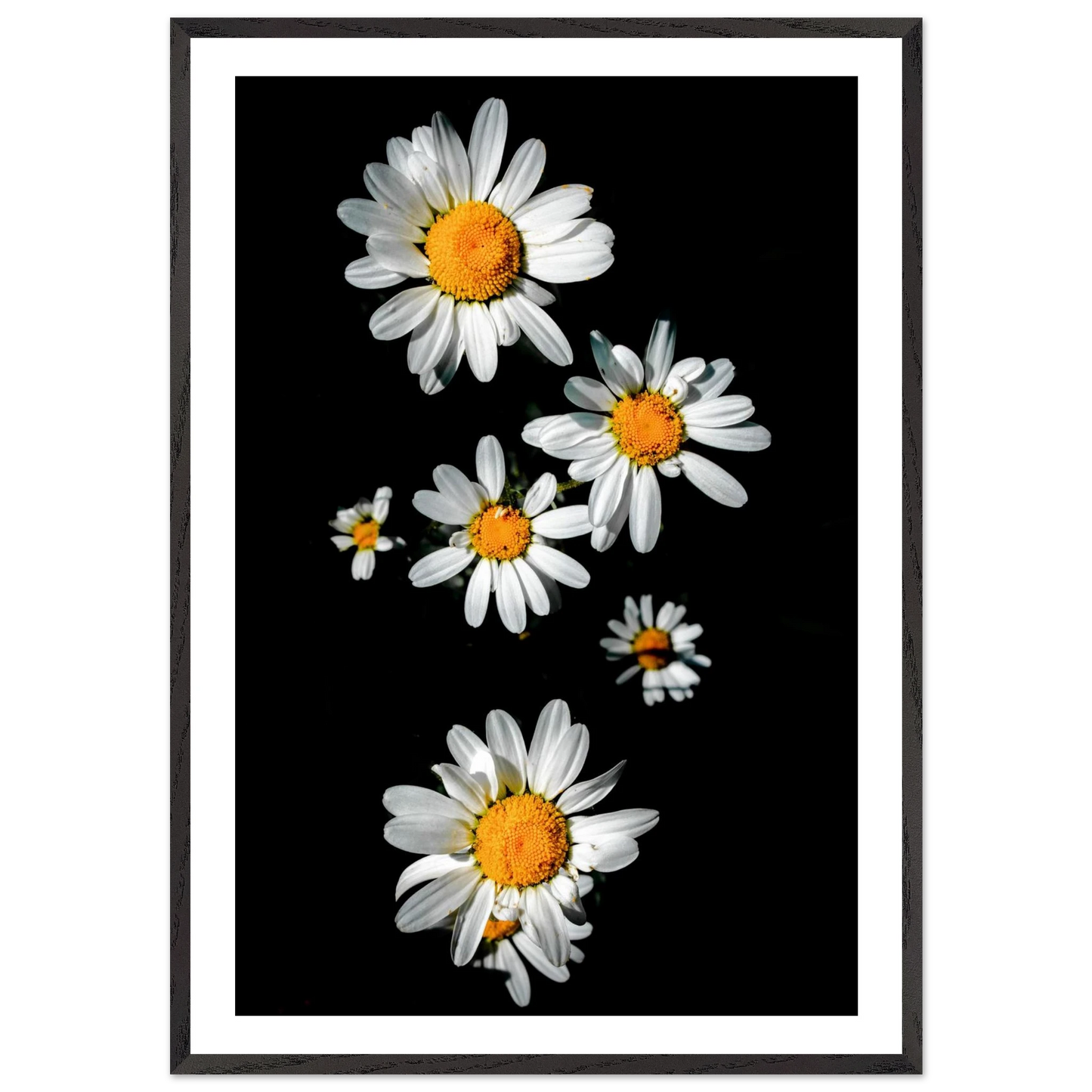 123f6224-8a62-4f7d-9750-b889a7498e3e