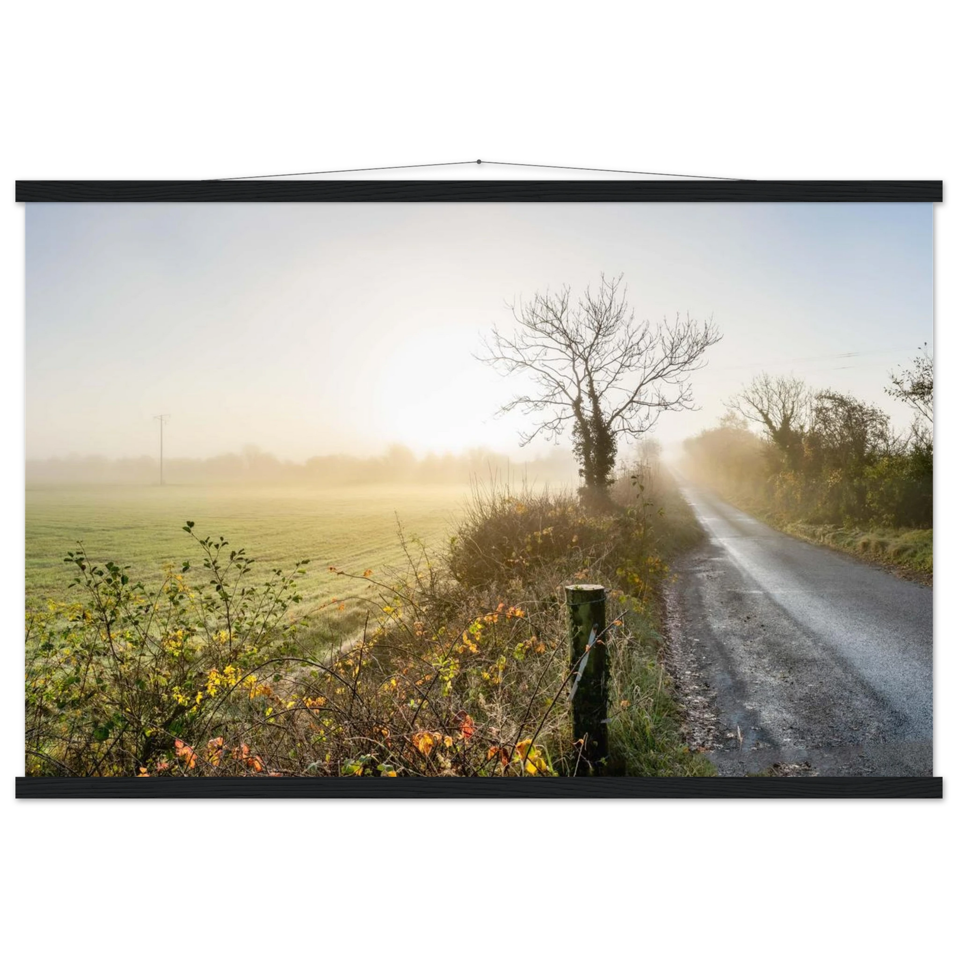 1241aa1a-cb6b-4327-9b80-86a30d4584ad