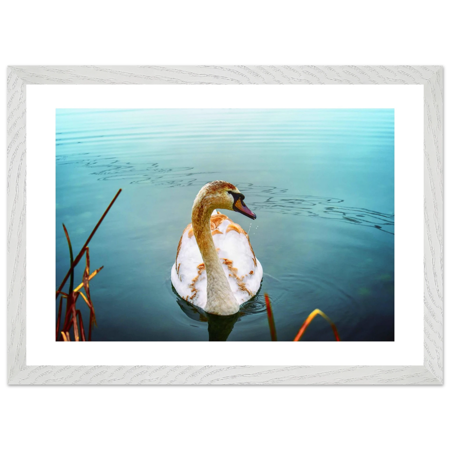 129a078e-df2c-44d1-b601-87a80a96fc36