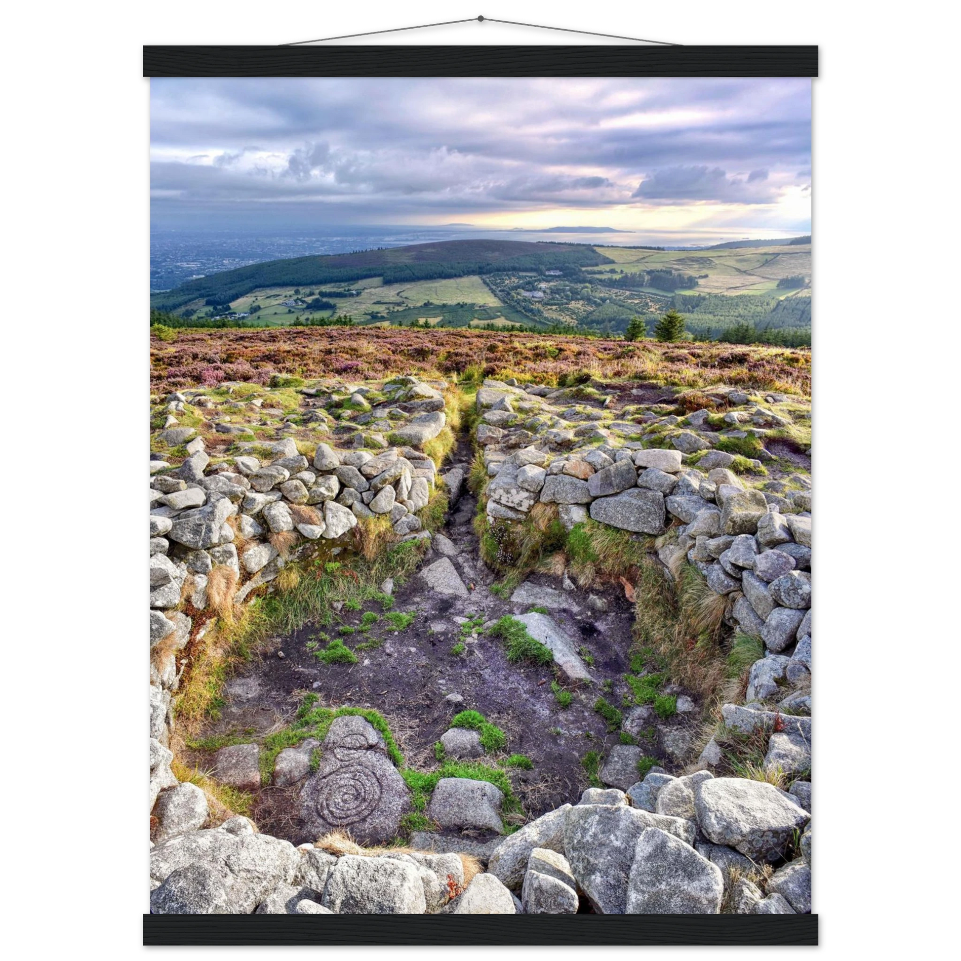 129e38ad-2df4-4088-b802-3a1d9bcd97c4