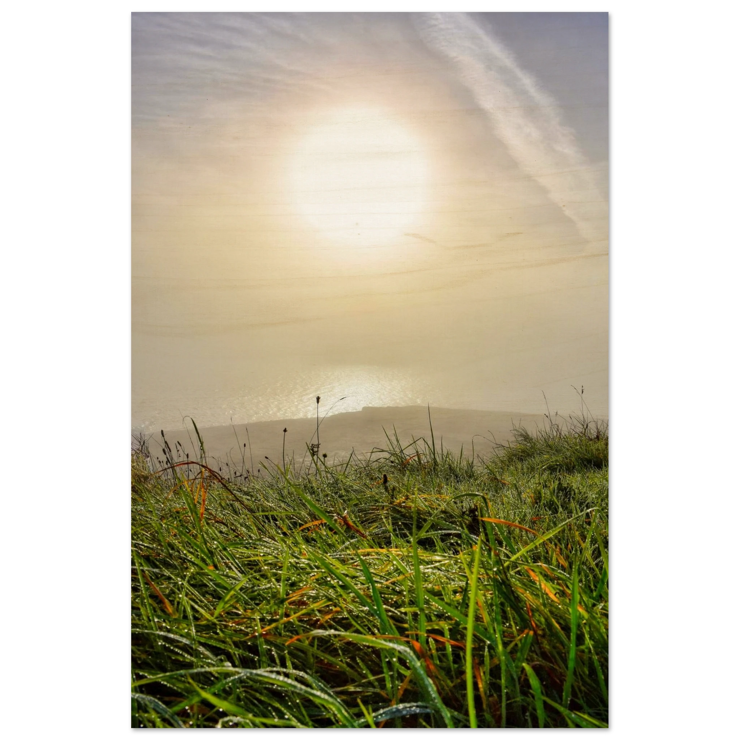 12bb3aa9-872f-4bcd-a32f-3f9642793a2f