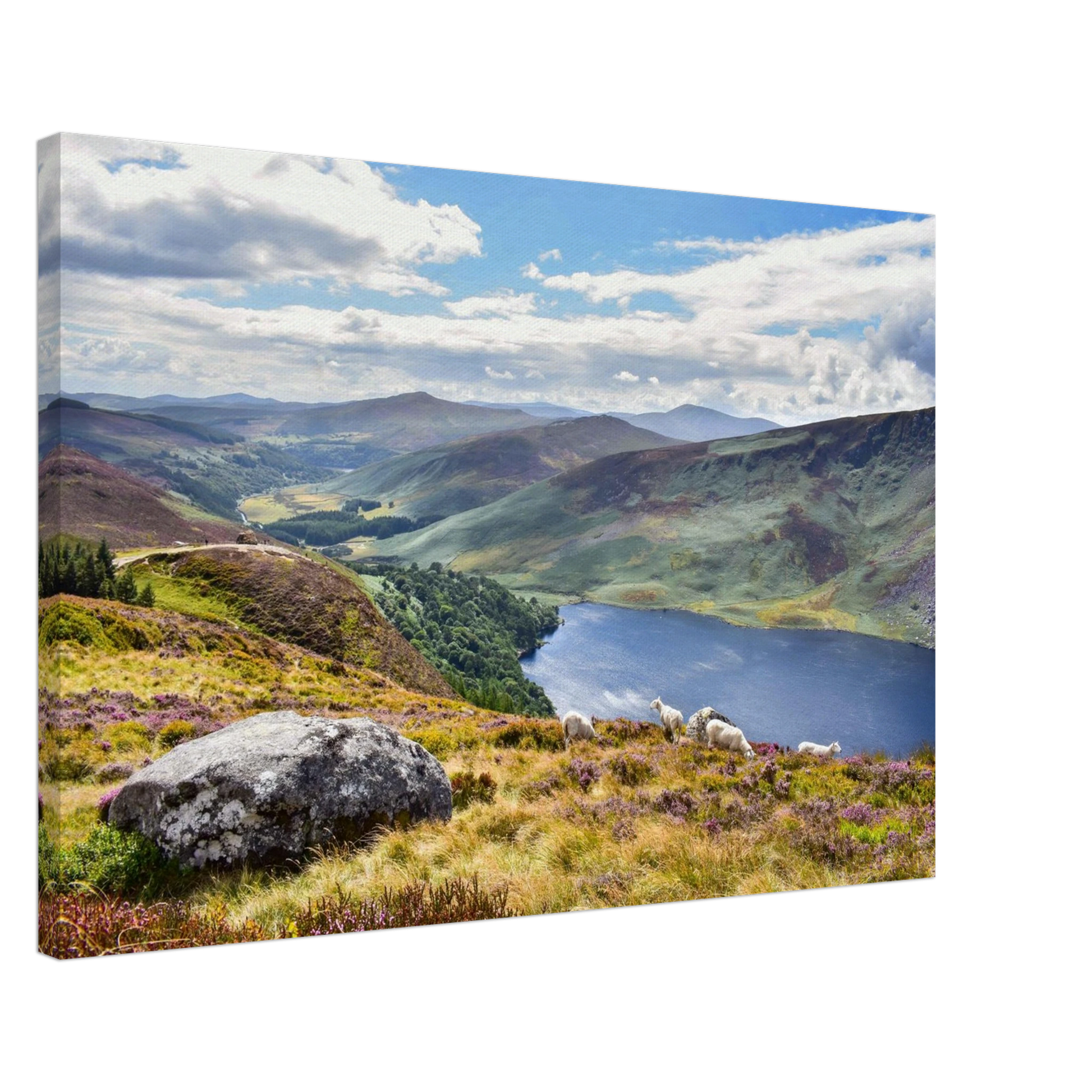 12bbaa8b-e01f-4a99-a365-ebc35ce8fa12