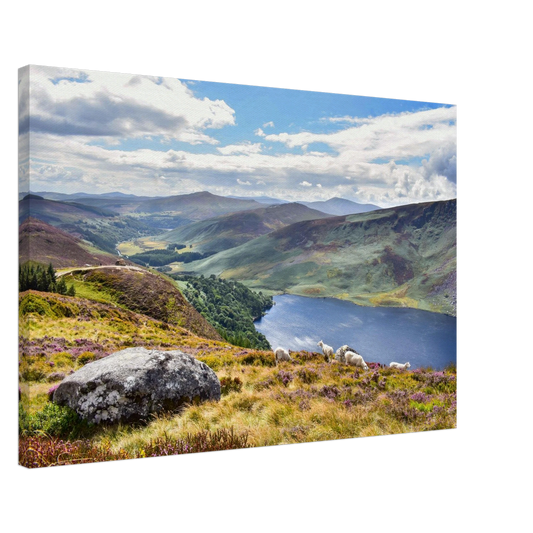 12bbaa8b-e01f-4a99-a365-ebc35ce8fa12