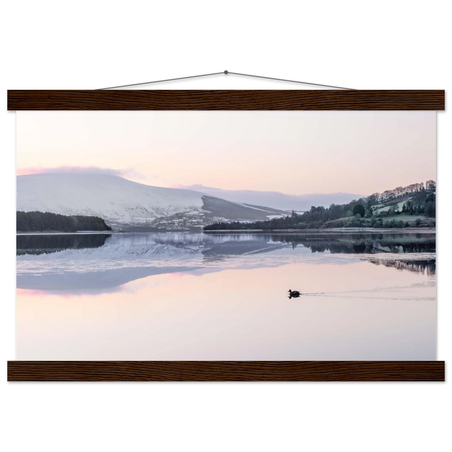 13493b5d-9efa-4886-8d1d-4f0df247ccf9