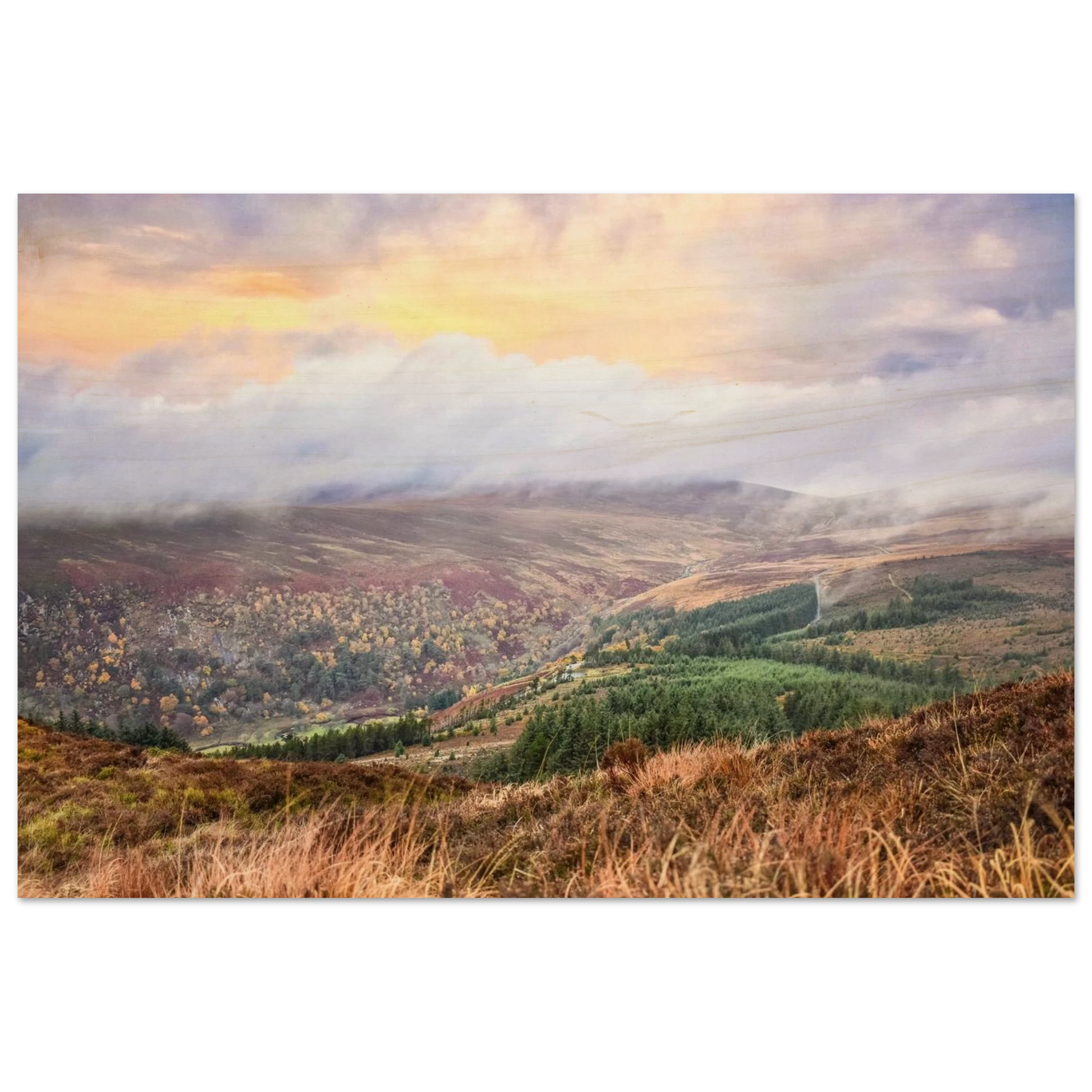 138d3d2d-c13b-4b1d-8cd3-4be2a4e015e9