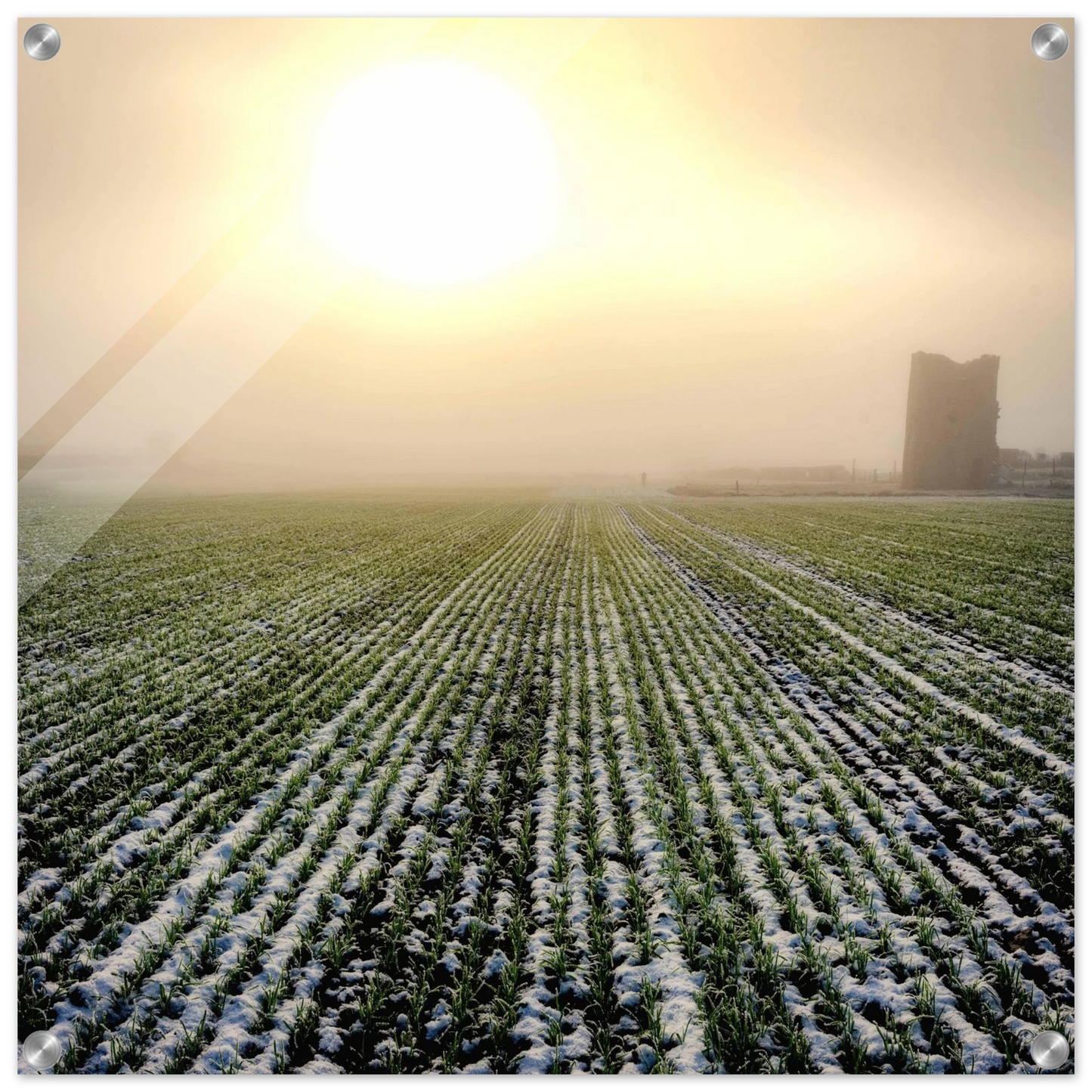 13b2c16f-3461-4ff8-83cb-c60d7ef0a547