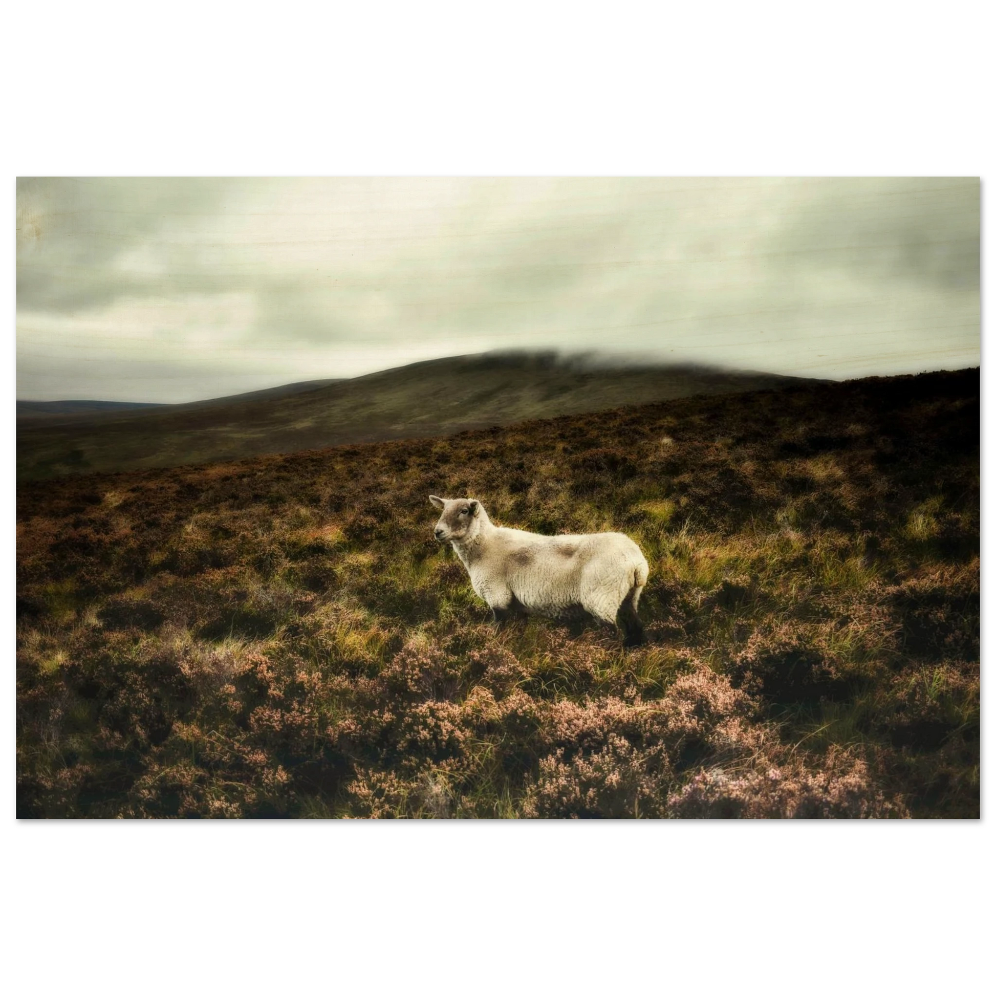 13d67641-b6ec-4363-b2fa-856c128b8097