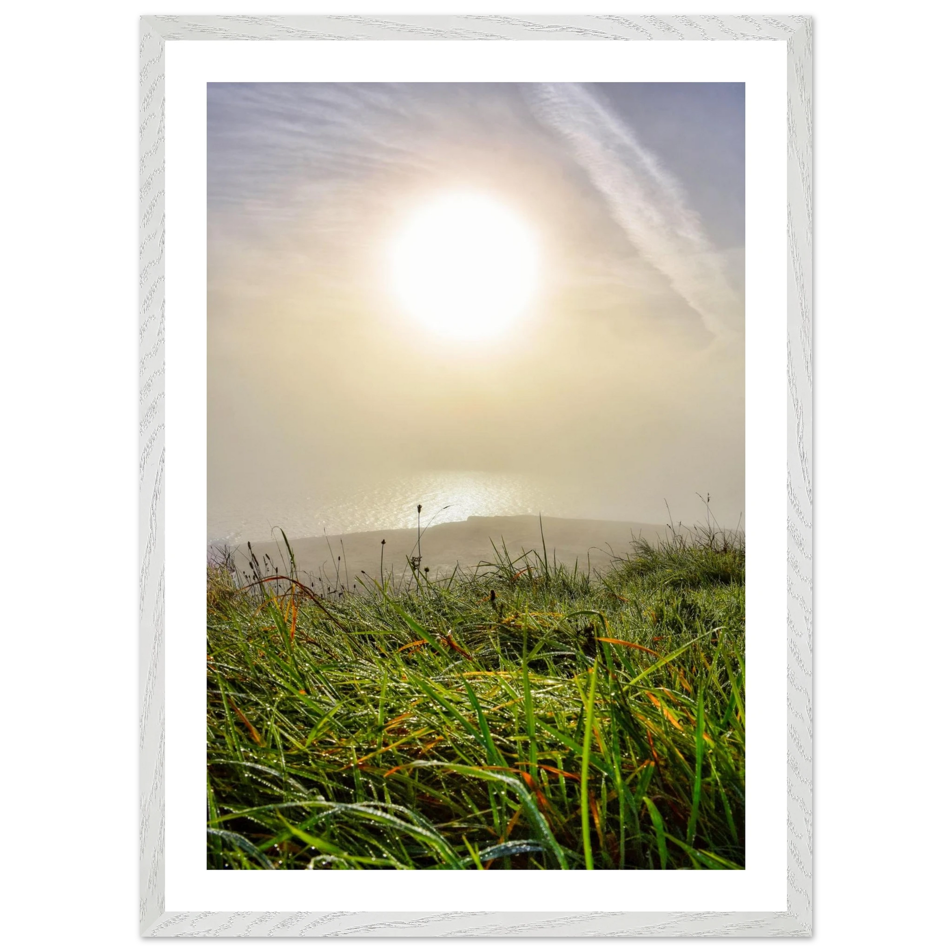 1419e0e8-fe8e-42dd-9bce-095da0b982d3