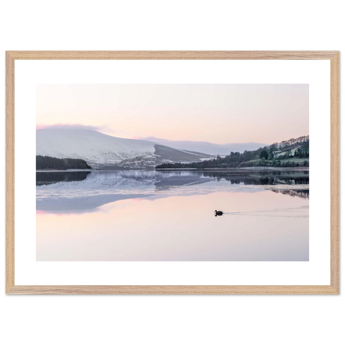 14a0cb7f-f18e-4288-8748-cb2ded3d681e