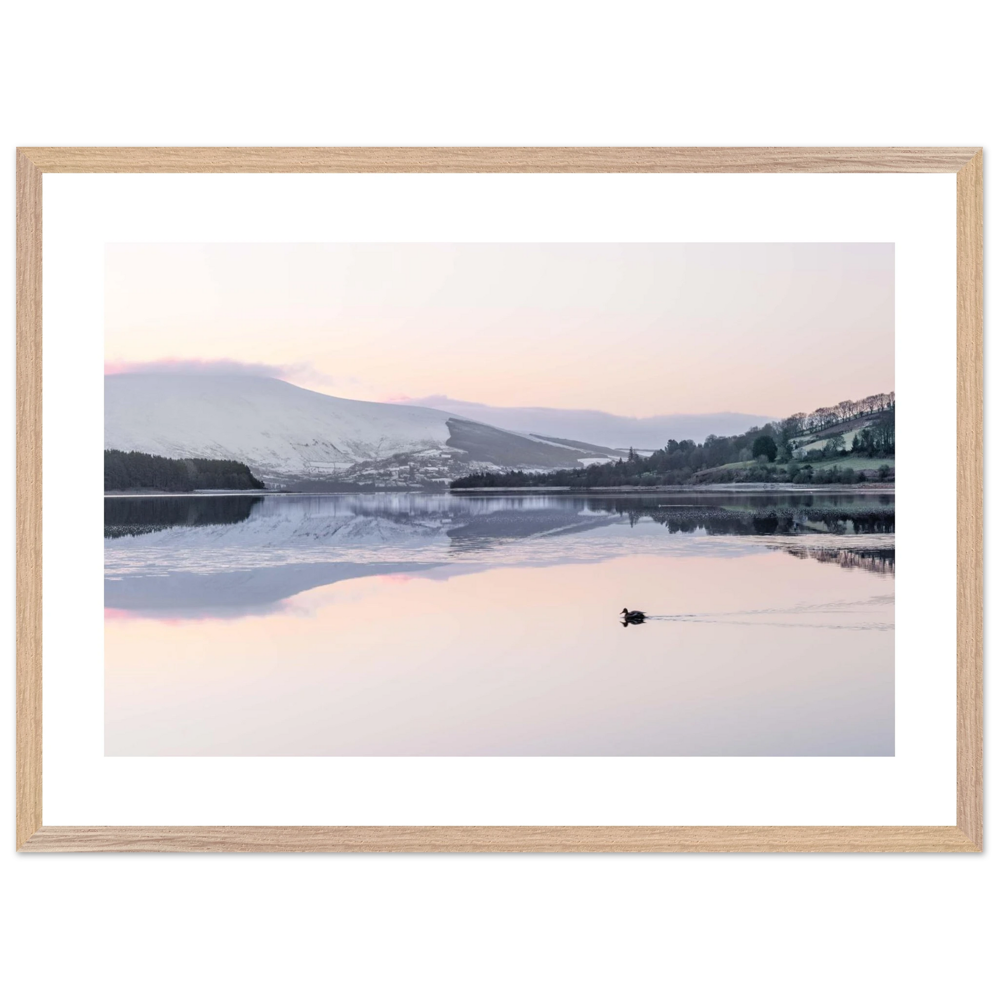 14a0cb7f-f18e-4288-8748-cb2ded3d681e