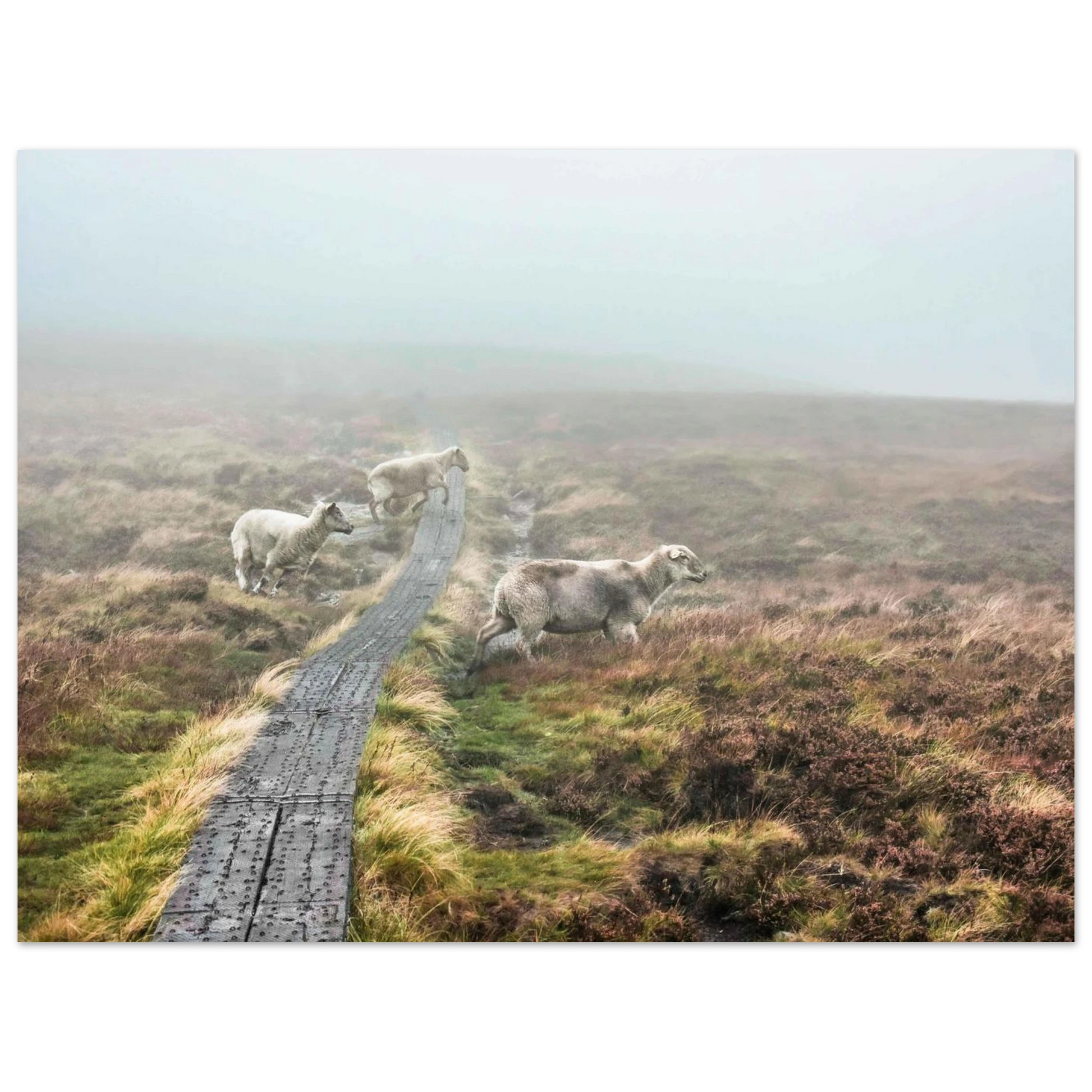 14bd0092-6fd5-4152-aa73-df7852acb00b