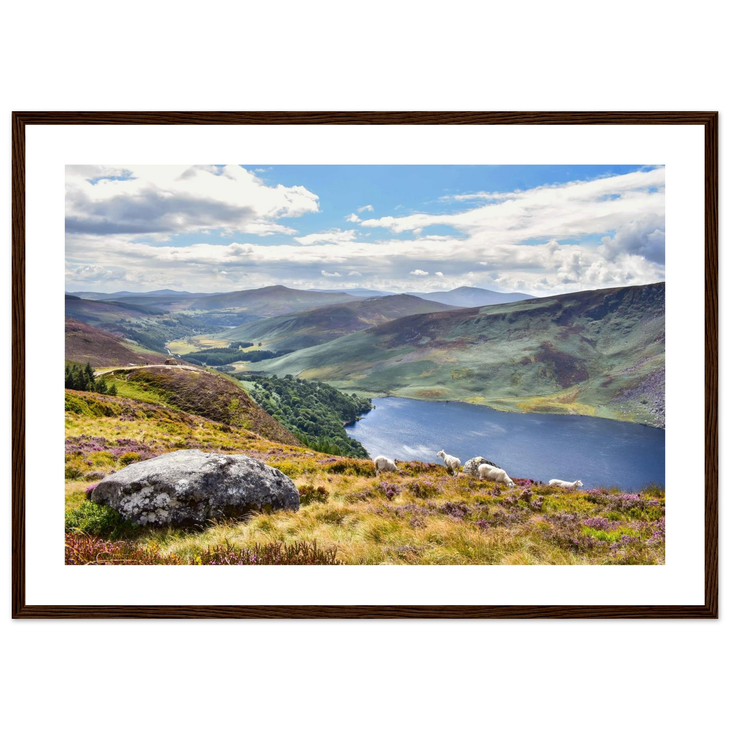 14de2d13-d834-4899-b459-9bd8ae620180