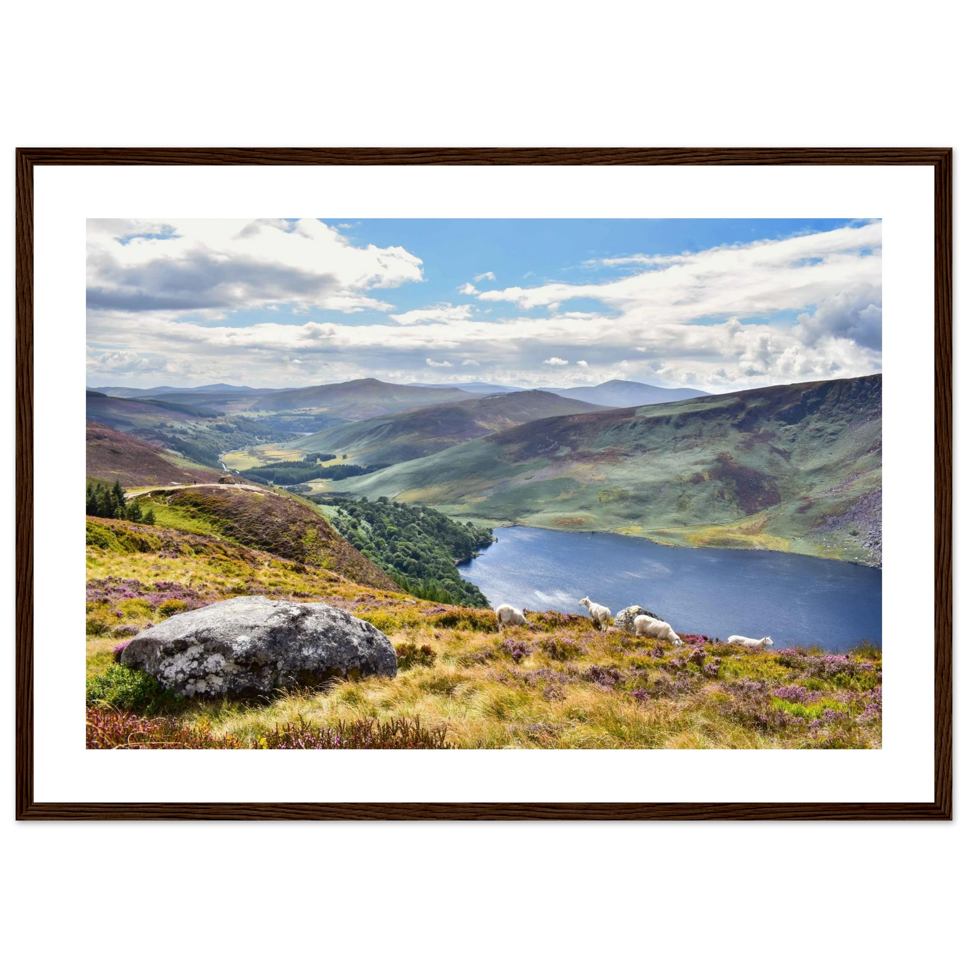 14de2d13-d834-4899-b459-9bd8ae620180