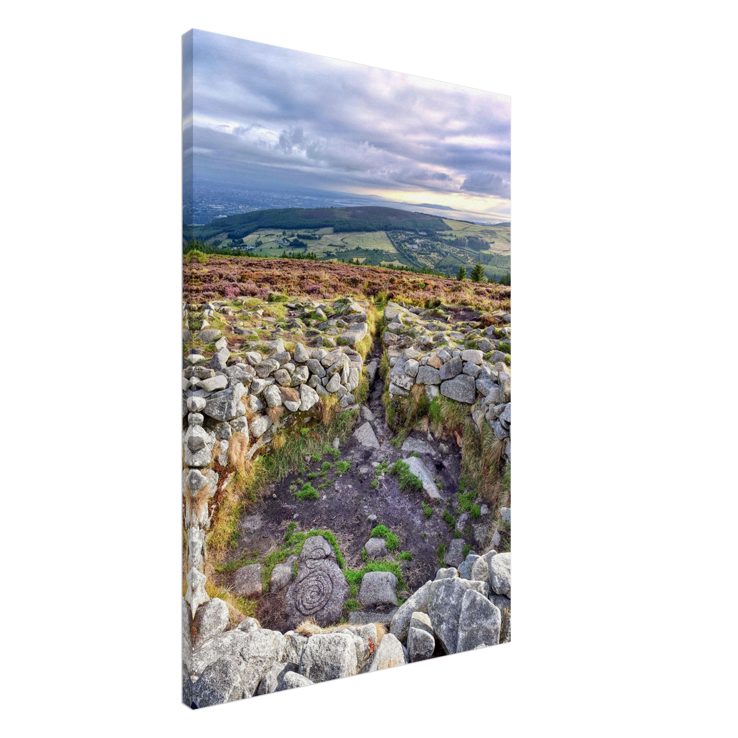 1509f7e6-ad91-4d66-9074-af9f116a3f17