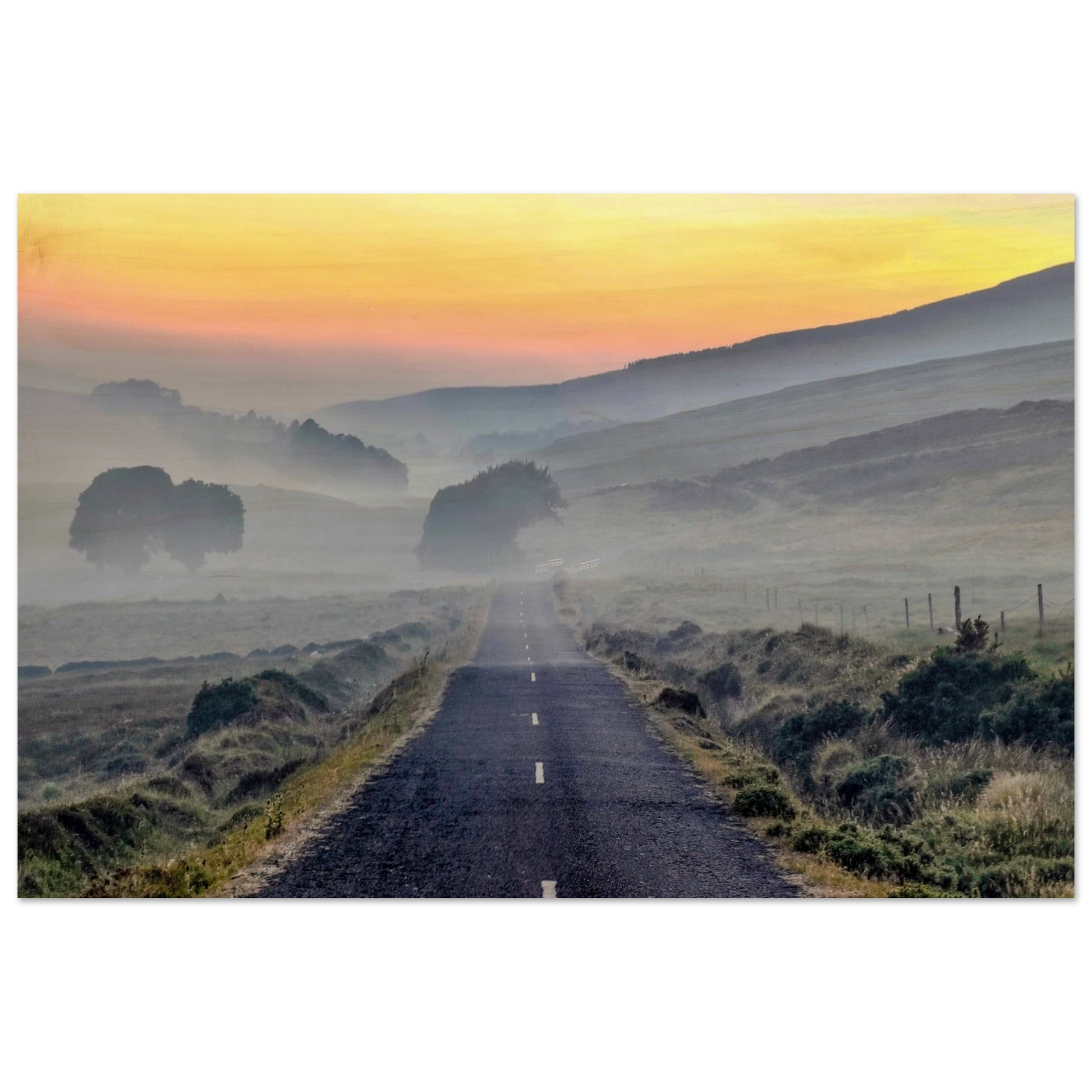 1526d01e-6dc4-4ab8-b54b-7d36e205bc2f