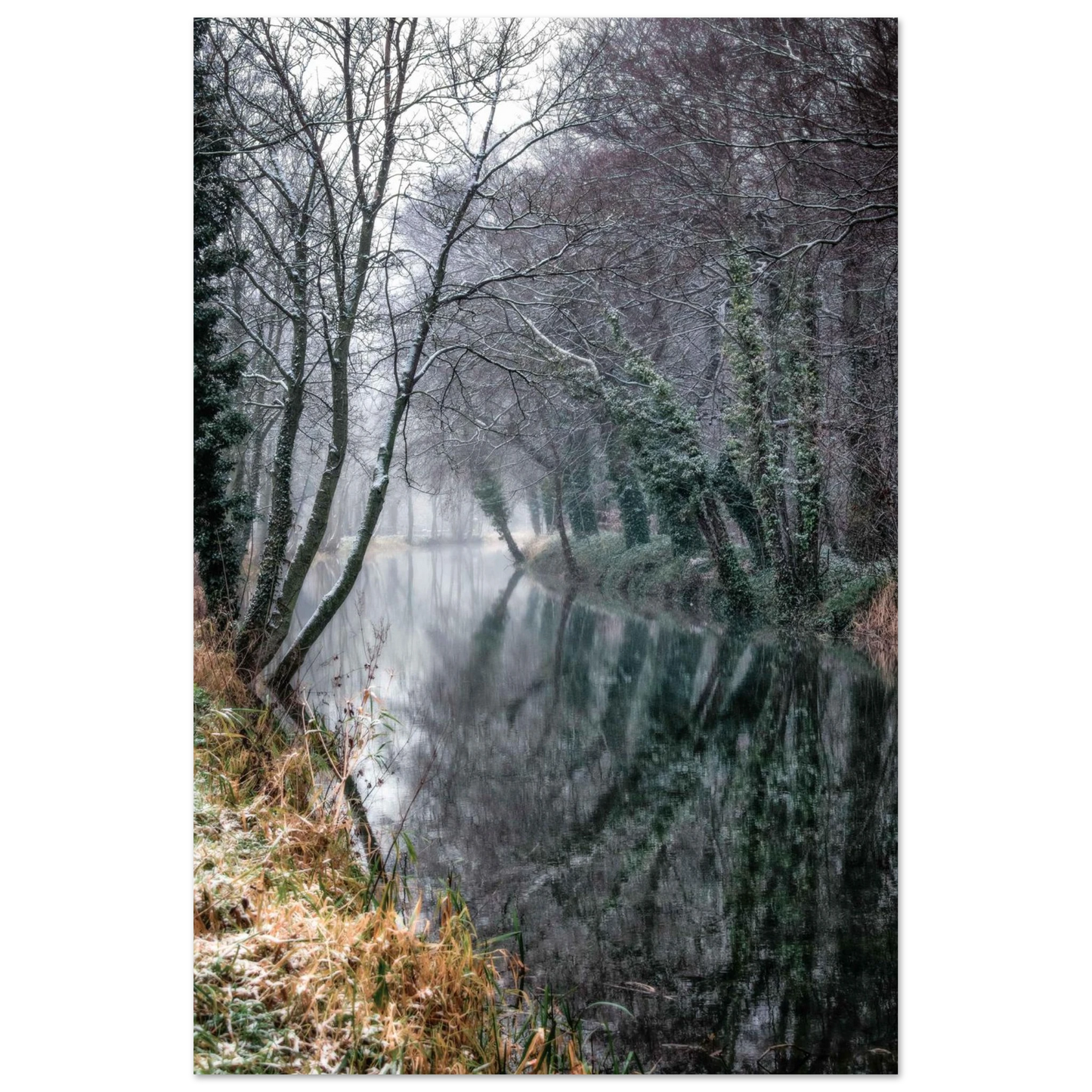 153bd79e-08f4-4193-a9f9-5b22f8effec2