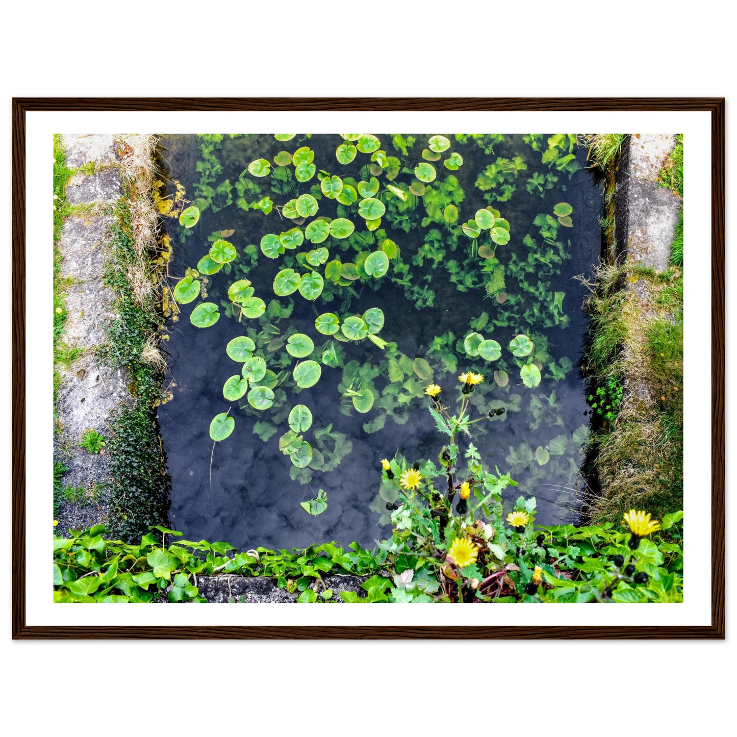 15493a9f-a0c1-4679-b2ae-544b95b1bfe2