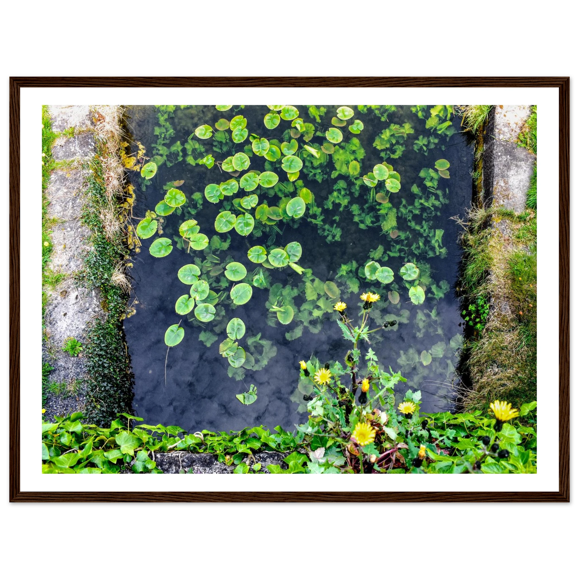 15493a9f-a0c1-4679-b2ae-544b95b1bfe2