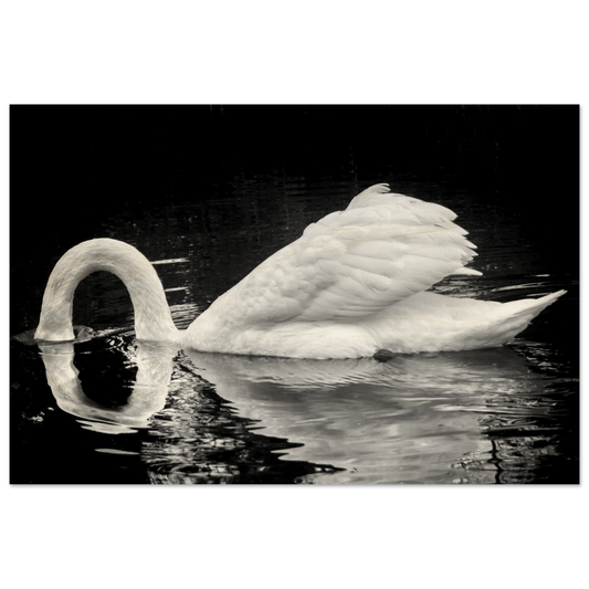 155cabb2-aa21-4463-bf89-b9277156b3df