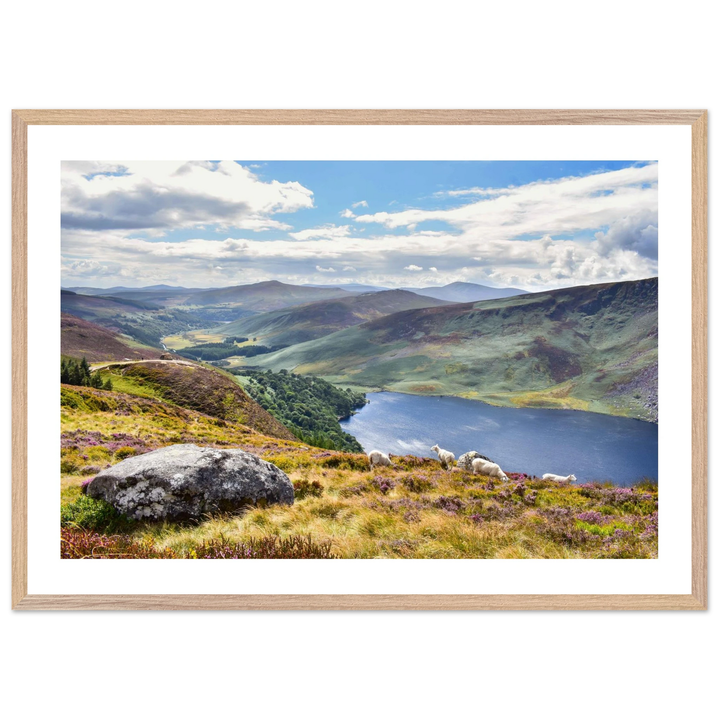 155f3deb-2c40-43e5-8370-c075124b3e16