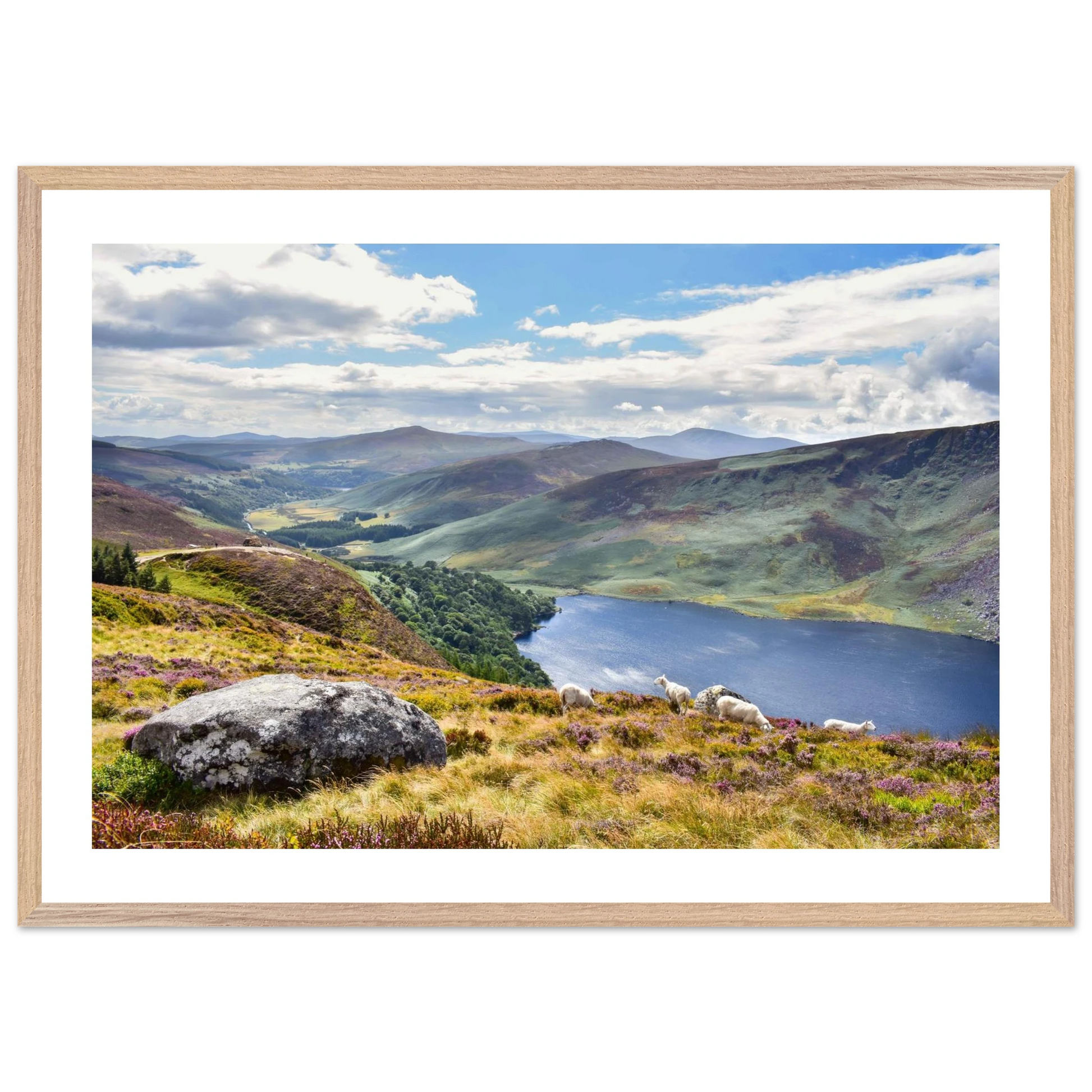 155f3deb-2c40-43e5-8370-c075124b3e16