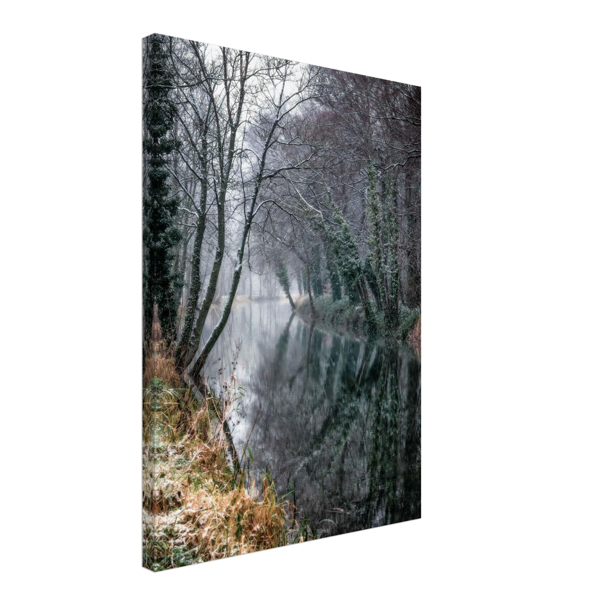 156c218f-9ed7-4596-8e5d-a83ea4ec3a9e