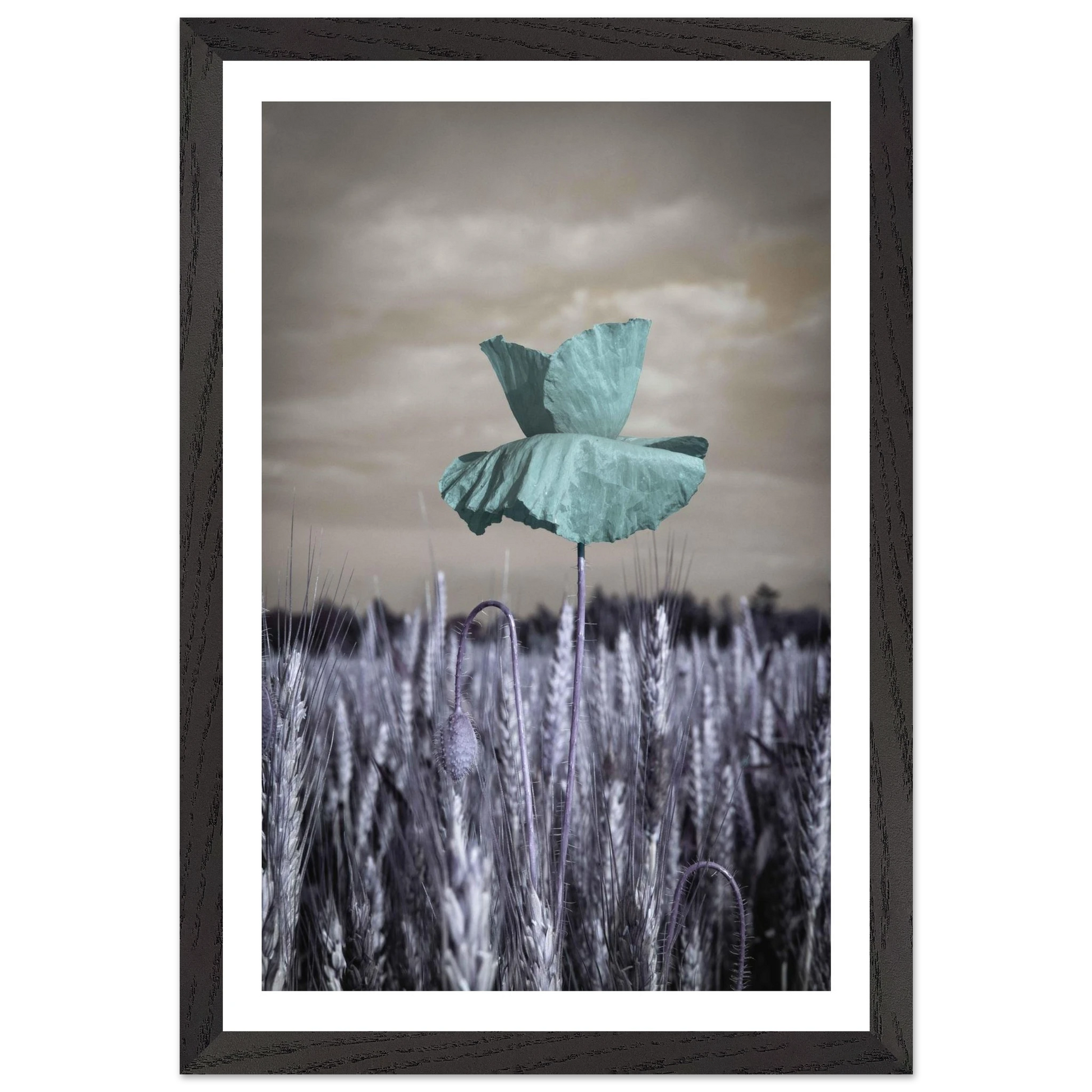 158c4cd5-599f-4bad-a56c-07e6de8d94b7