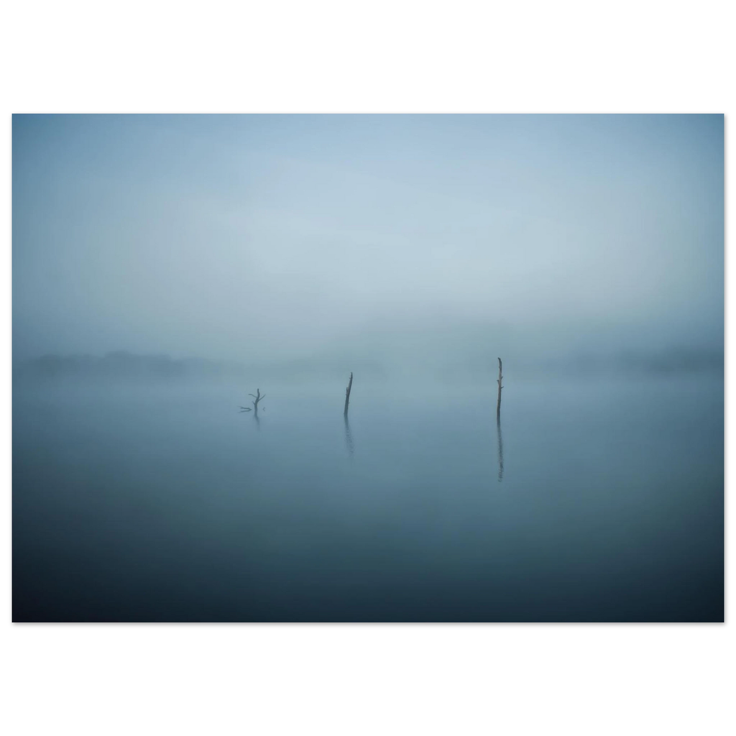 159a69c6-678d-4019-98c3-55f6d5ea308b